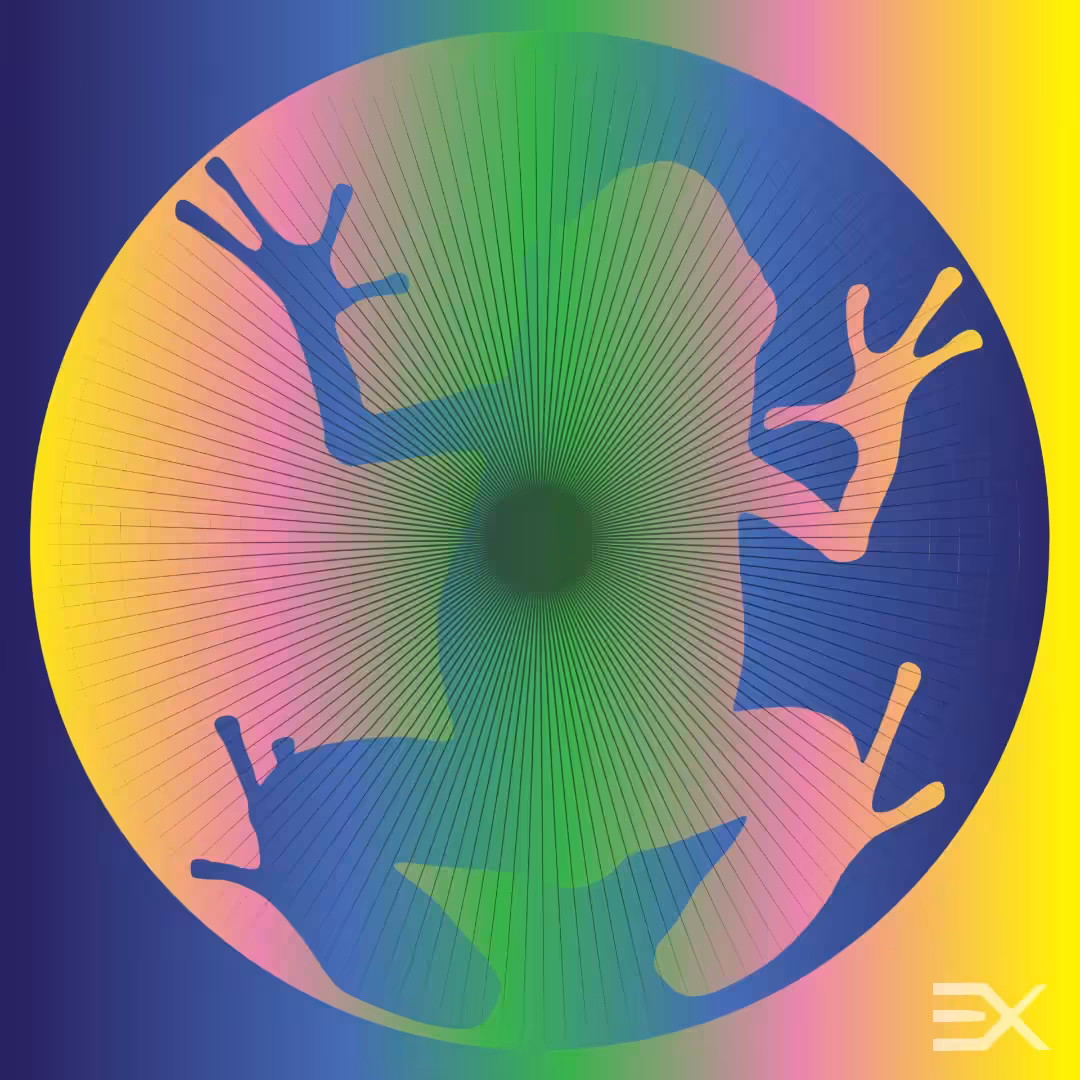 Spingfrog