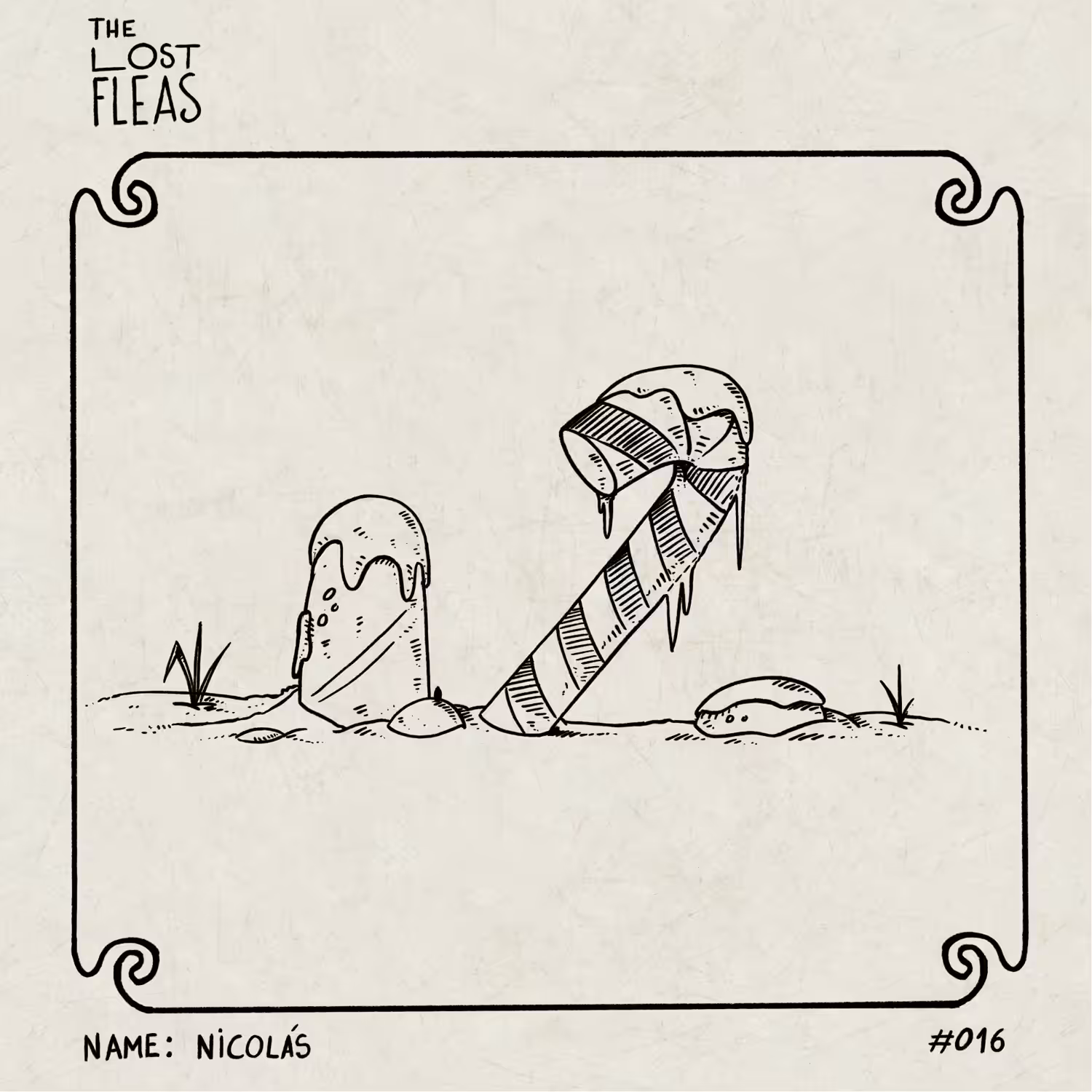 Nicolas #016