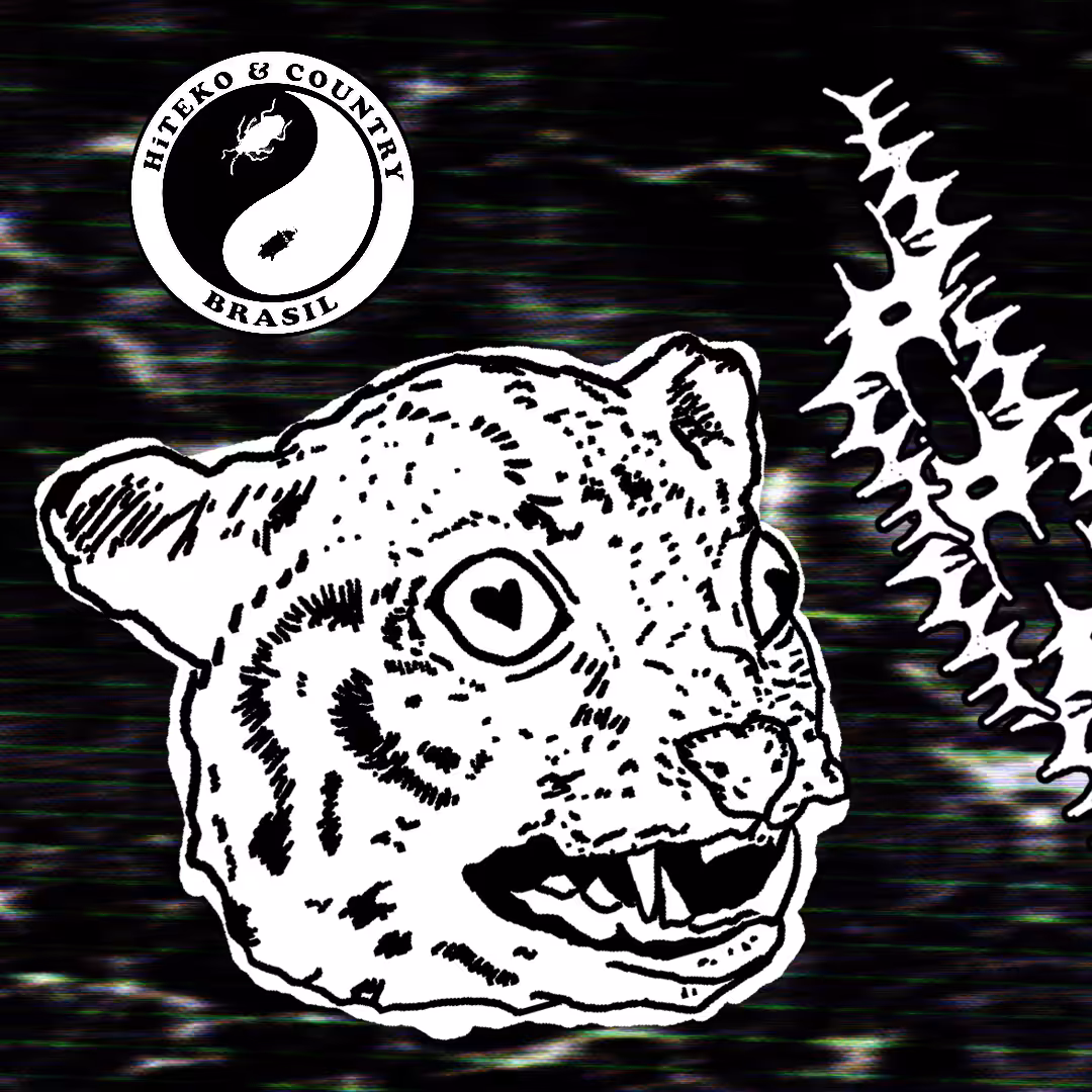 flash_cats01