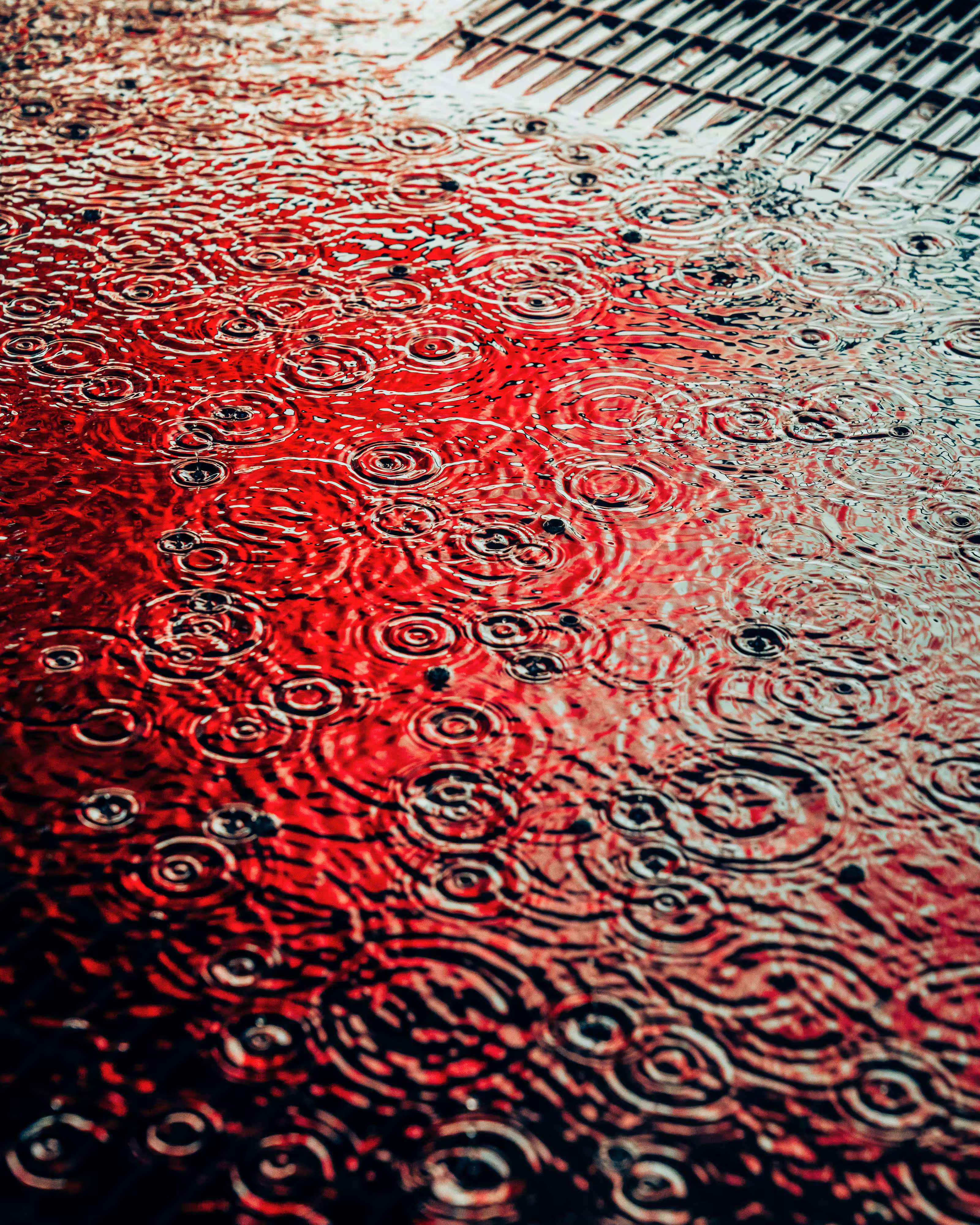 DRIP #6: ECHO