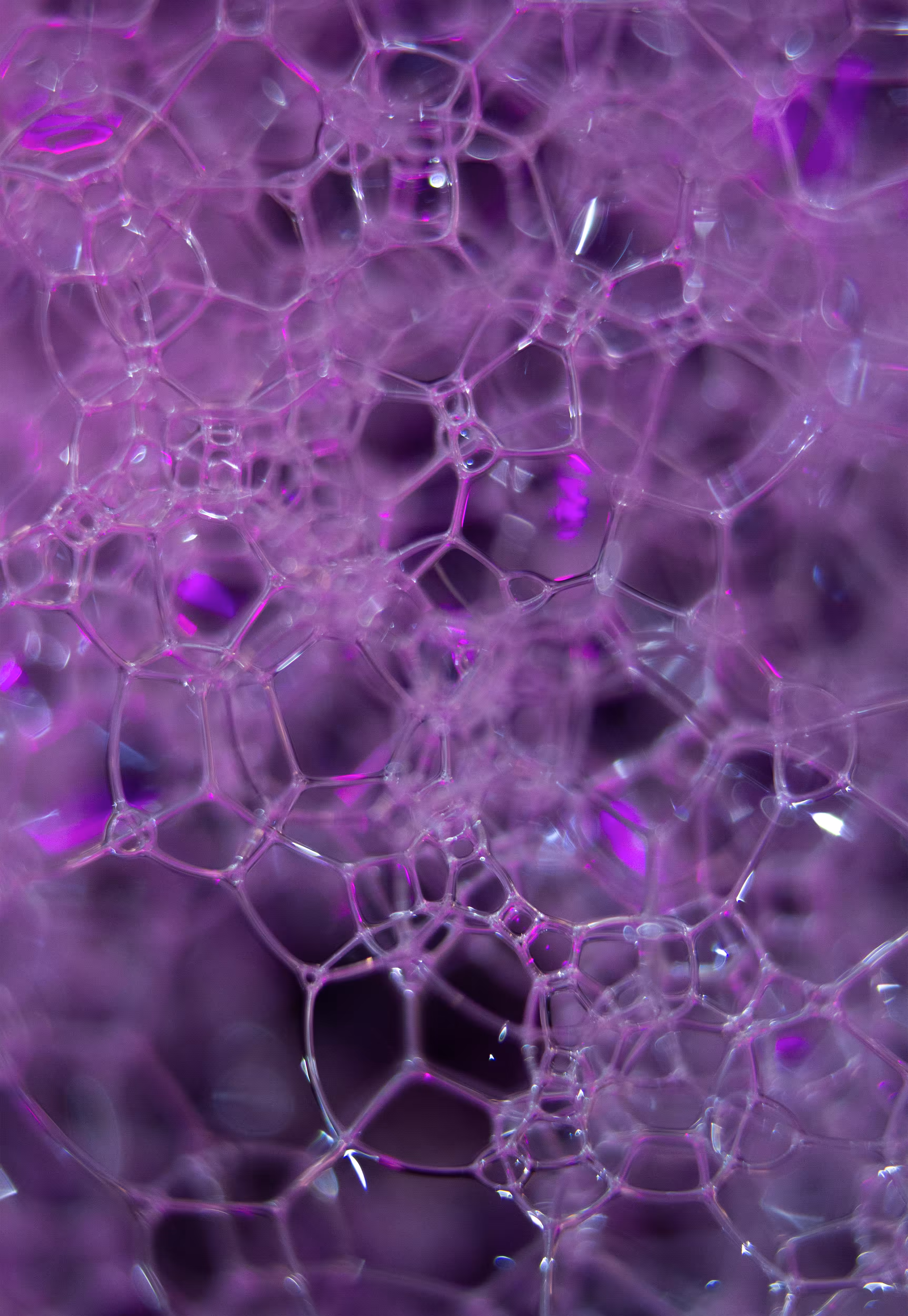 #35 Bubbles
