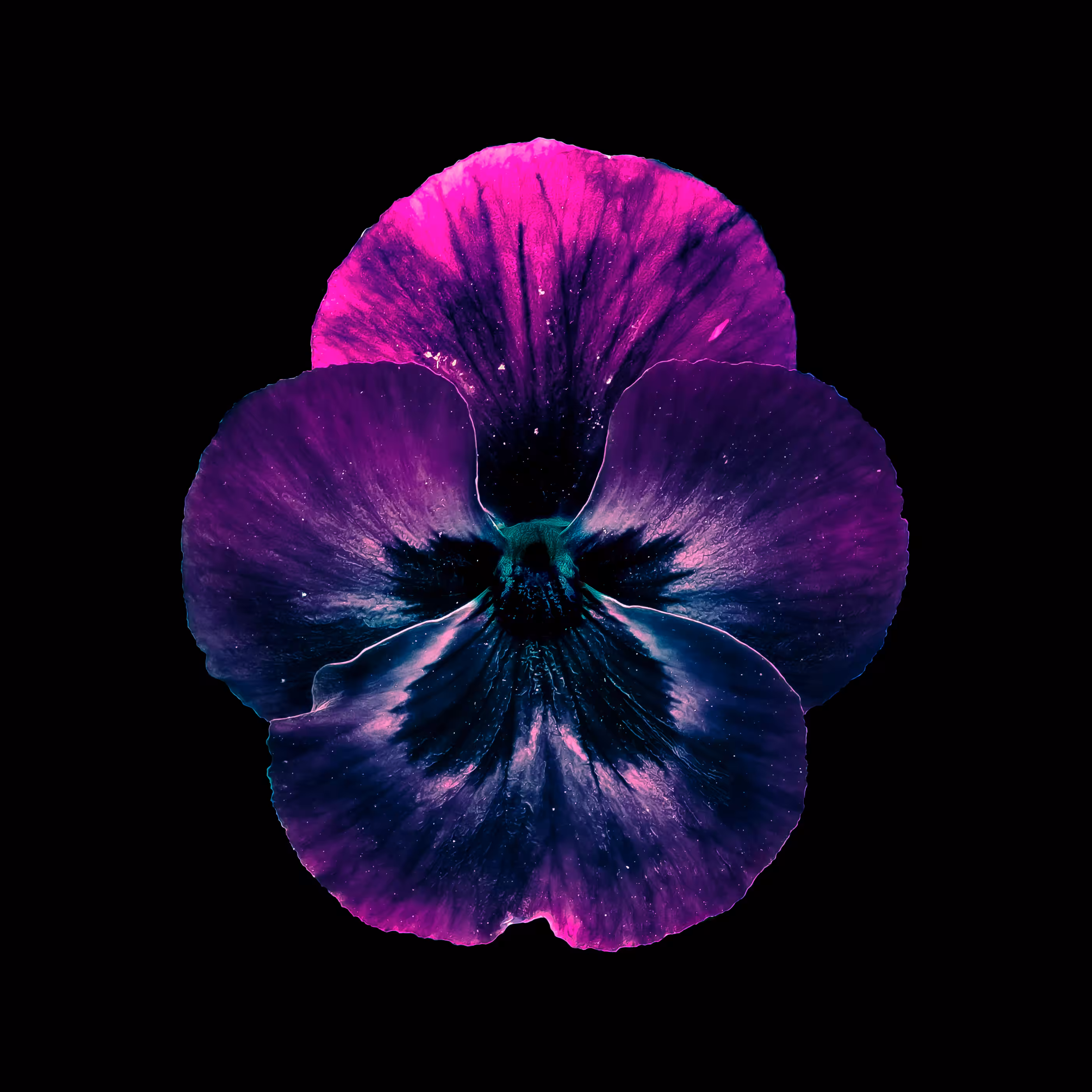 ❀.5