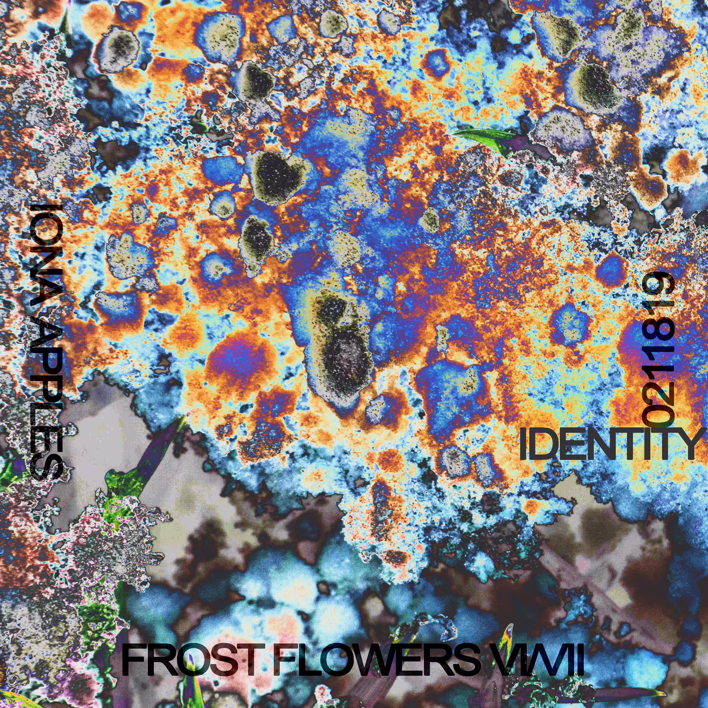 FROST FLOWERS // No. 21