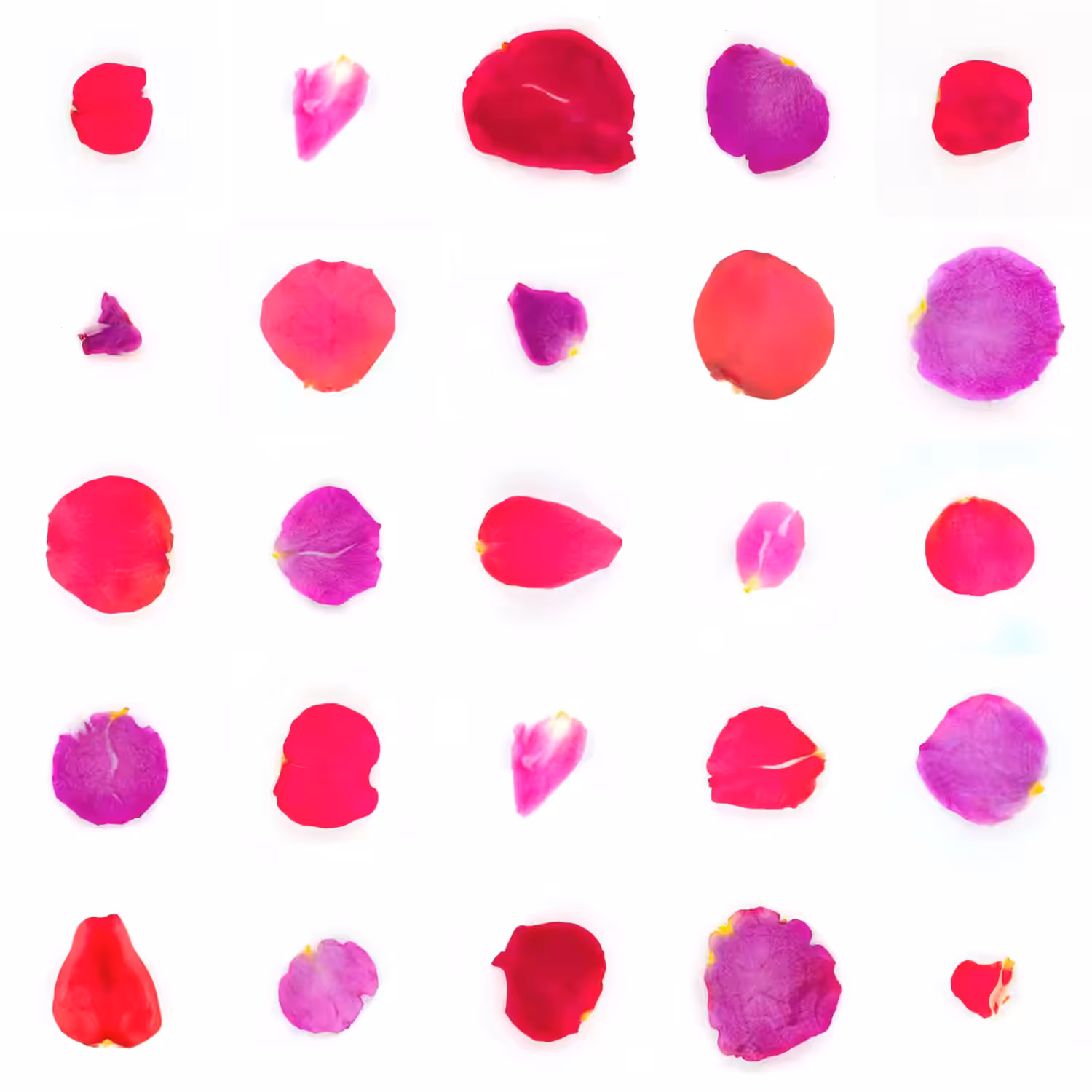 Infinite Petals 5x5#20297