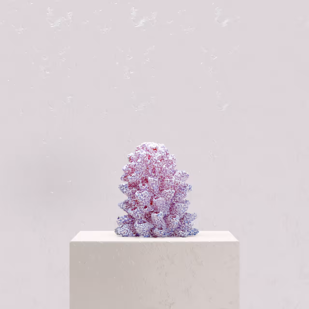 Coral Museum 5