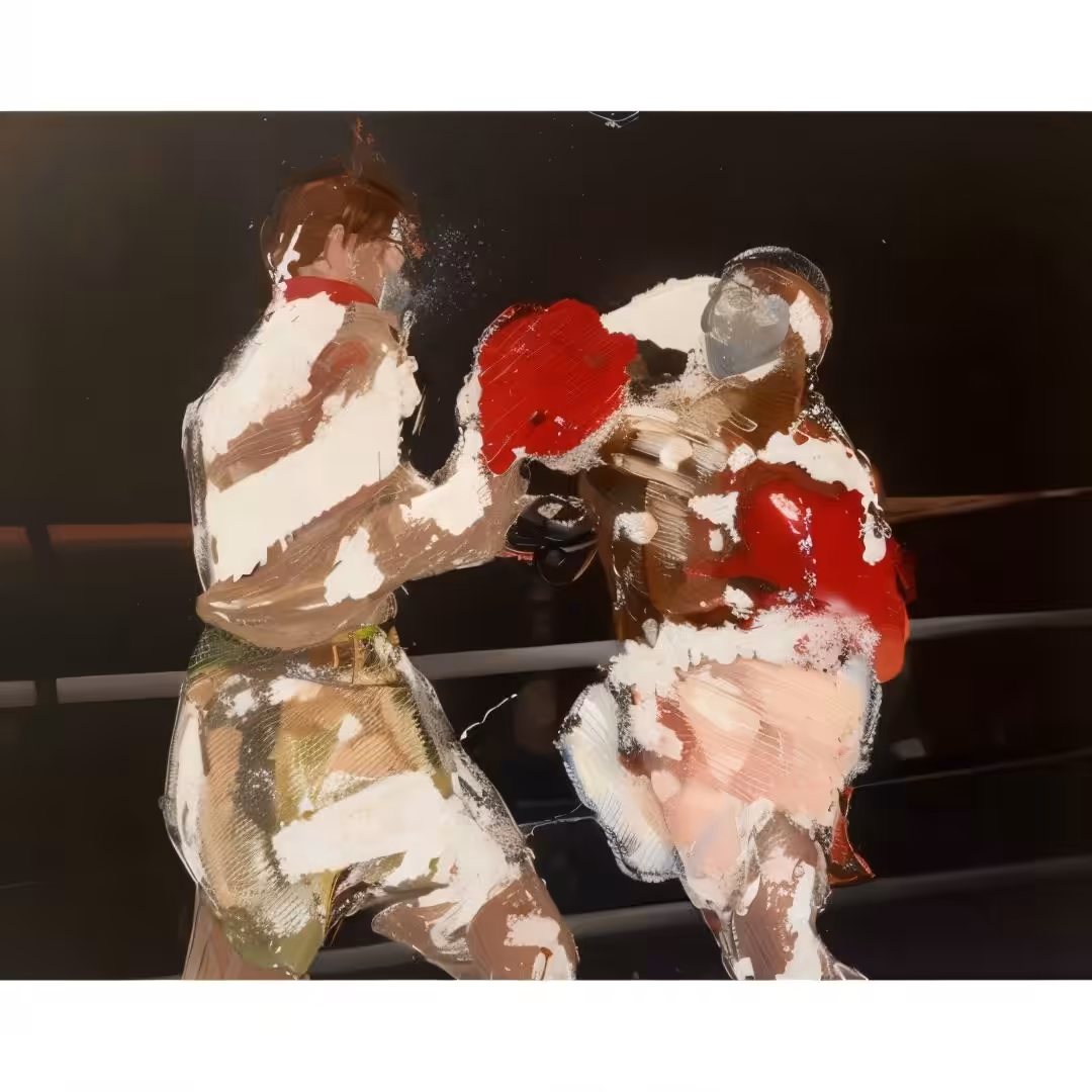 Professional wrestling match