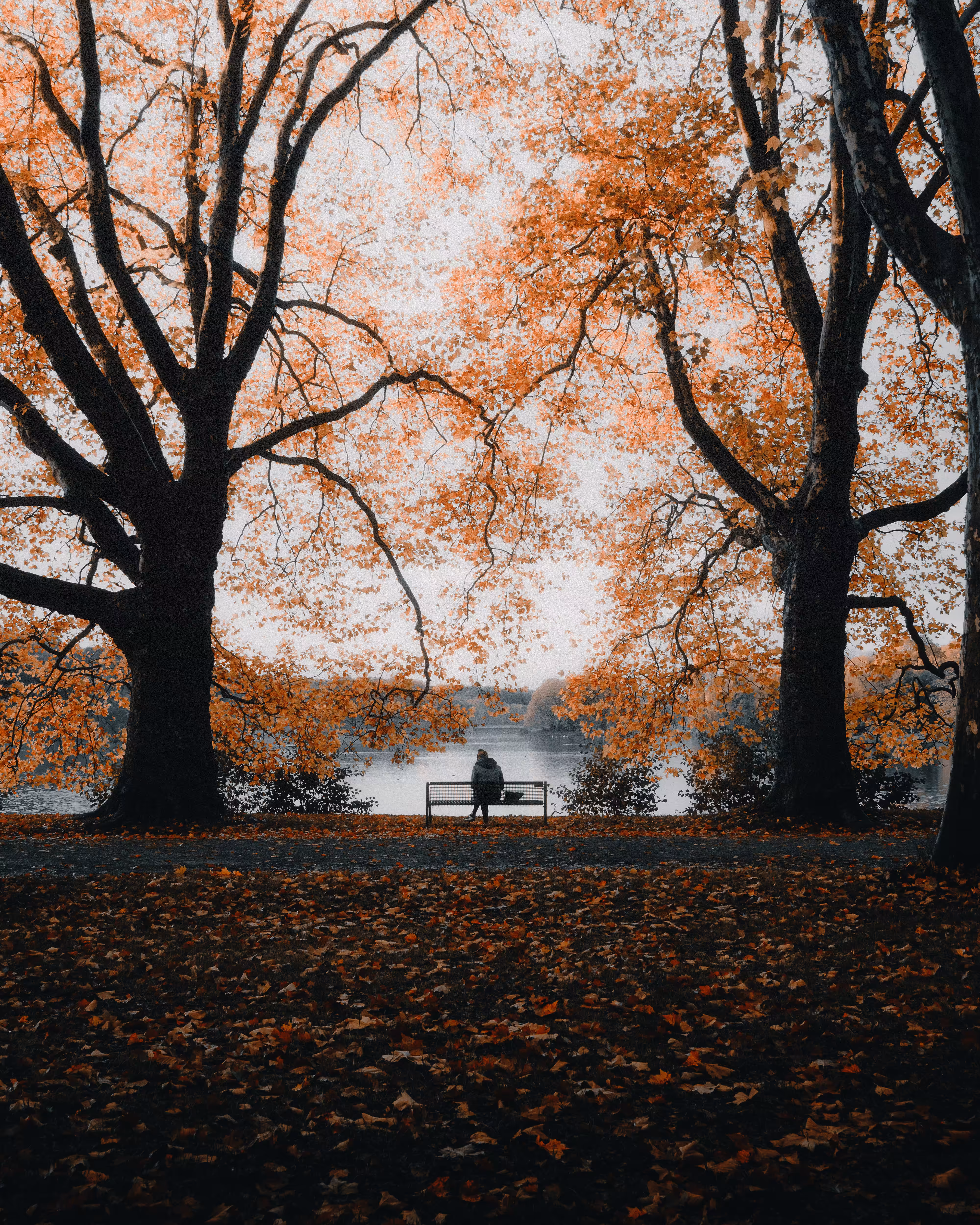 Stranger #81