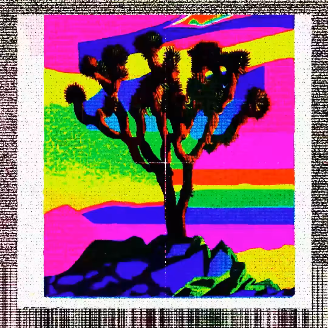 Arid Articulations #20