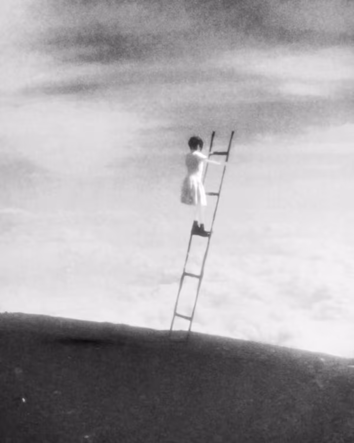 Ladder