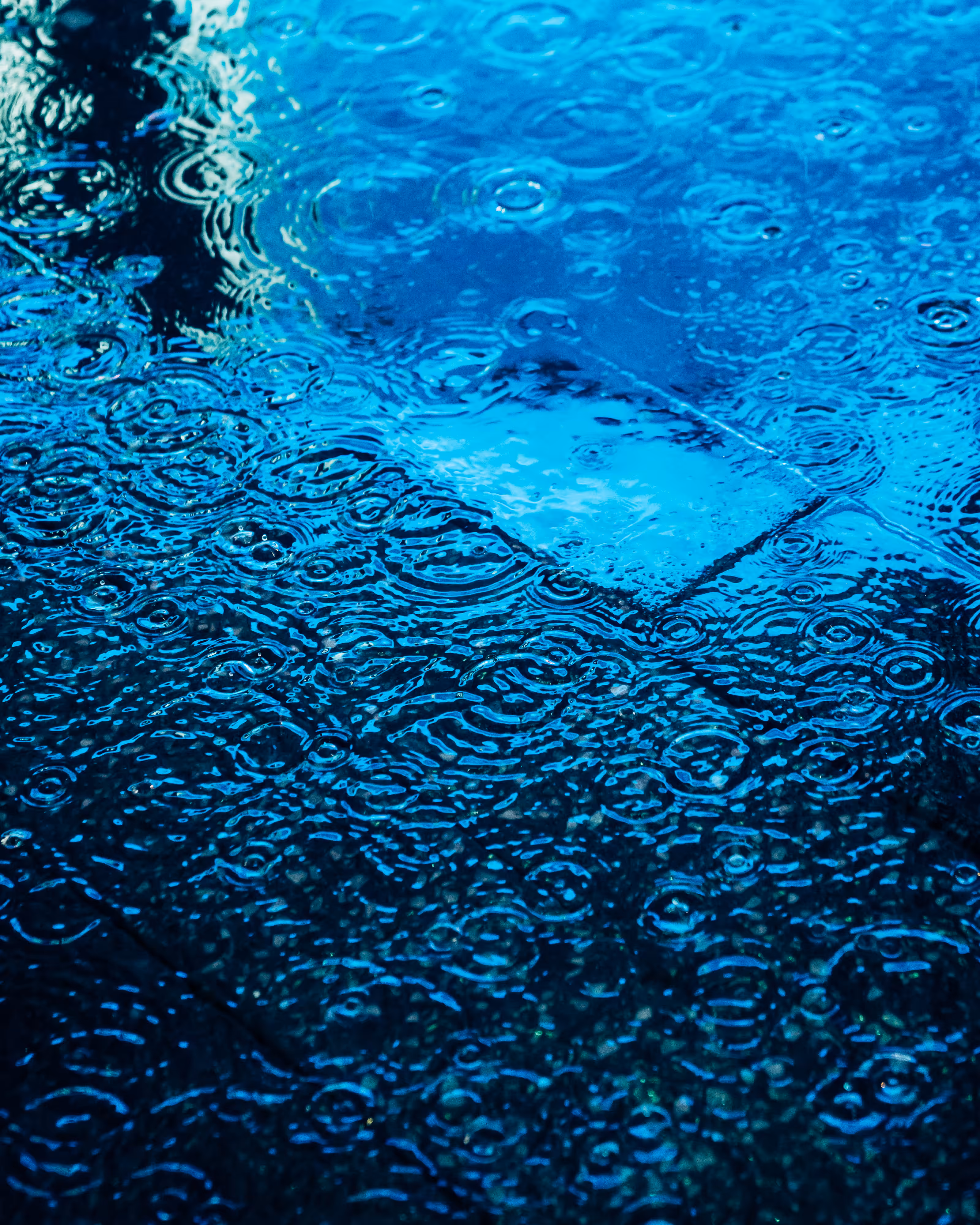 DRIP DROP: DRIP #507