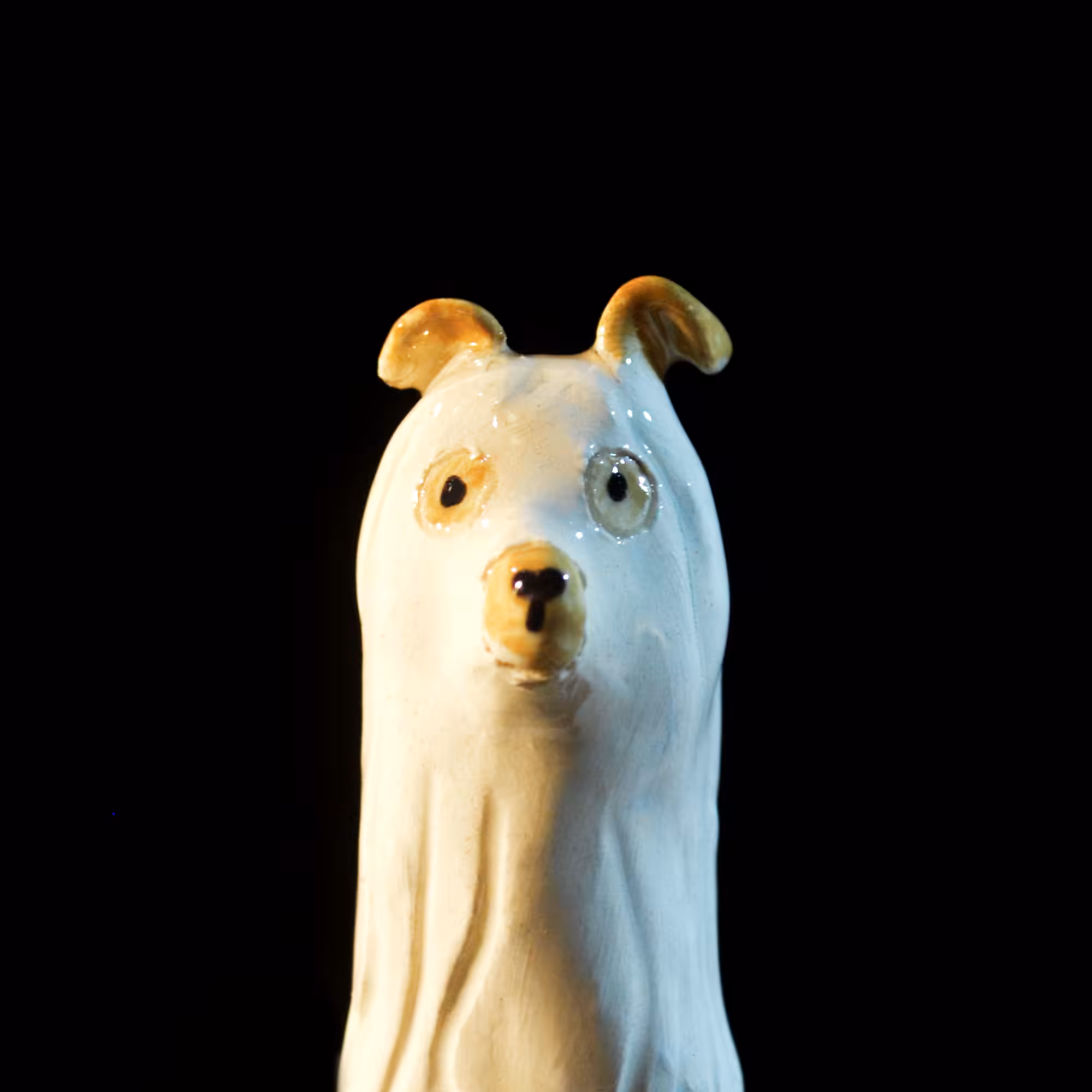 pfpup#0067