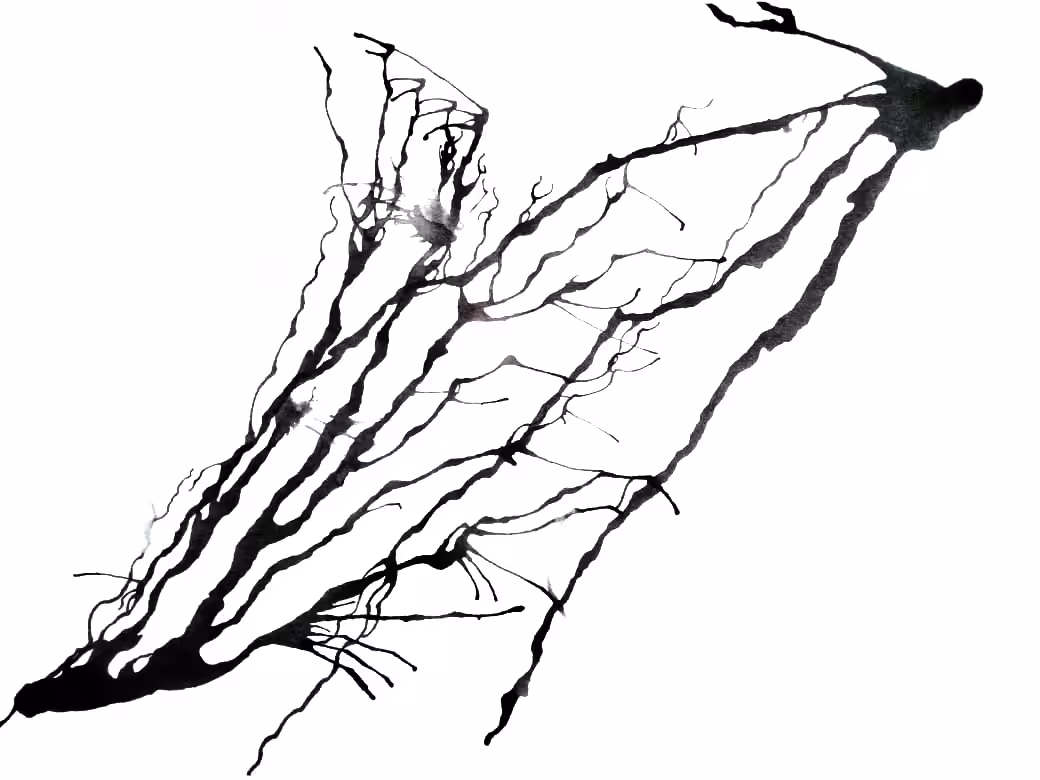Dark Trails #10