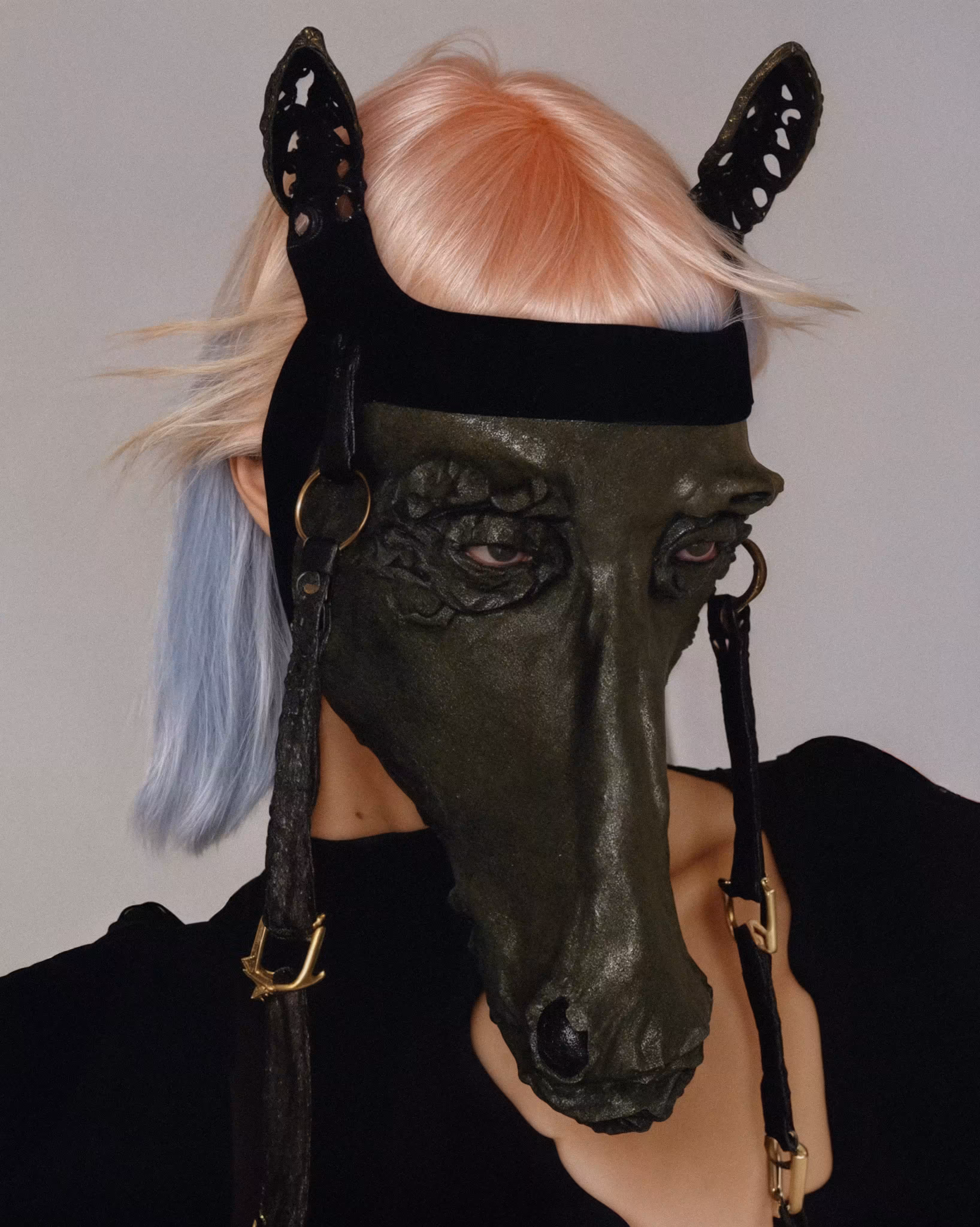 Equine Stare