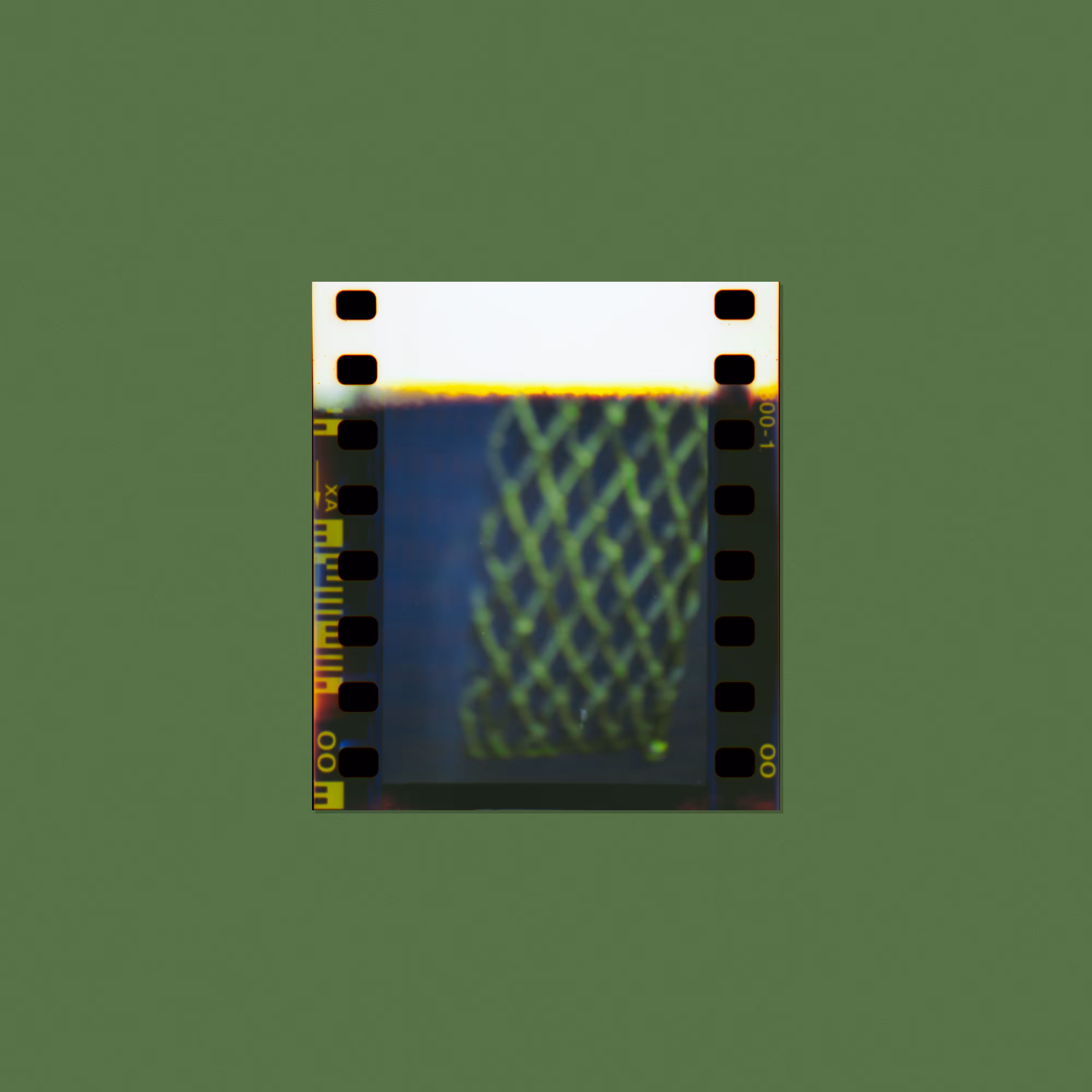 Forgottez 048