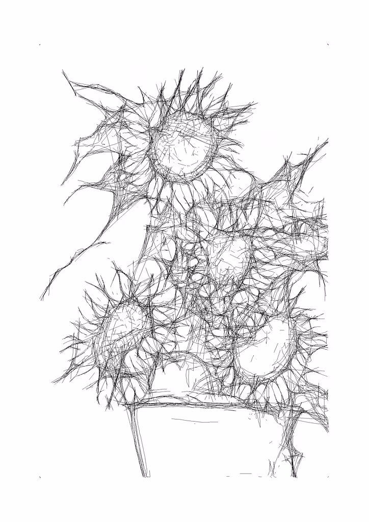 Sunflowers (study)