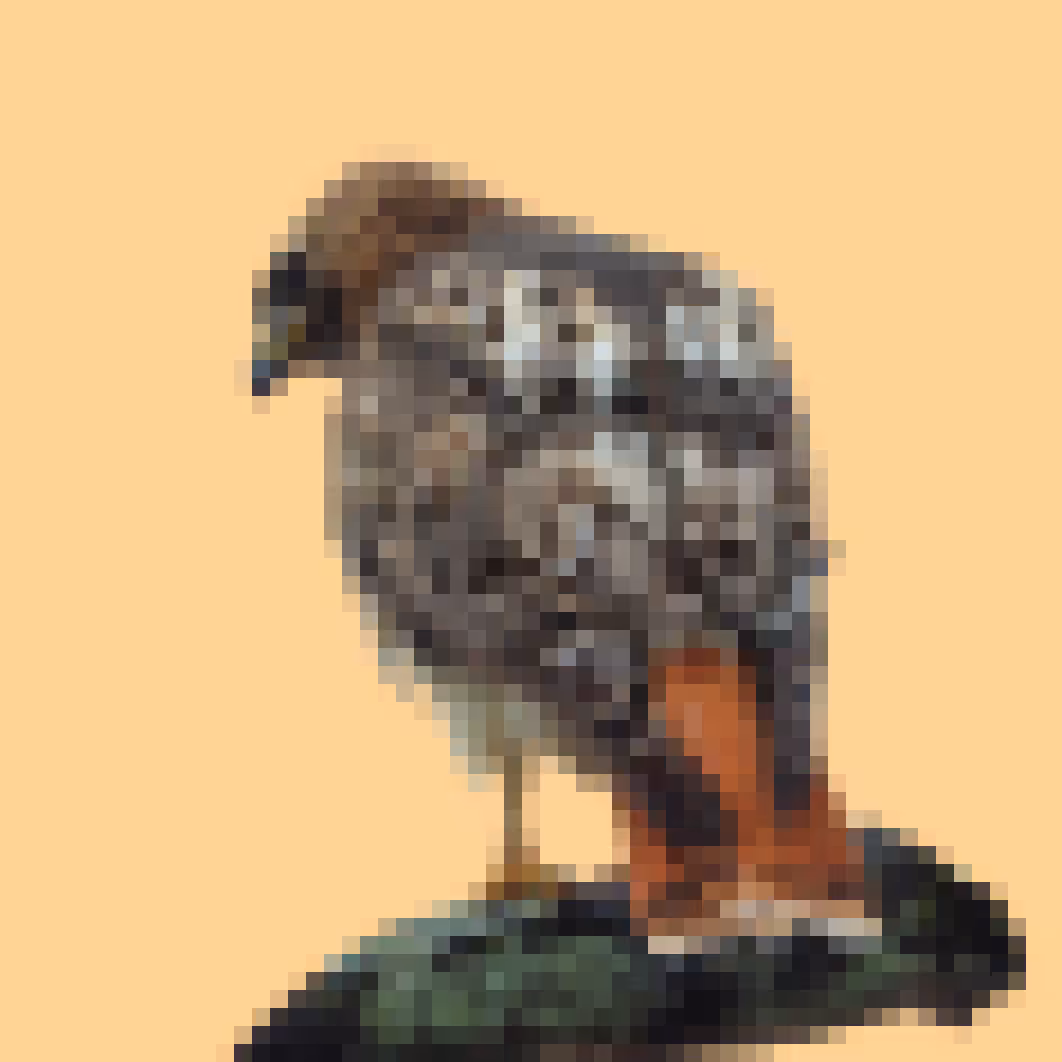 PixlBird #014