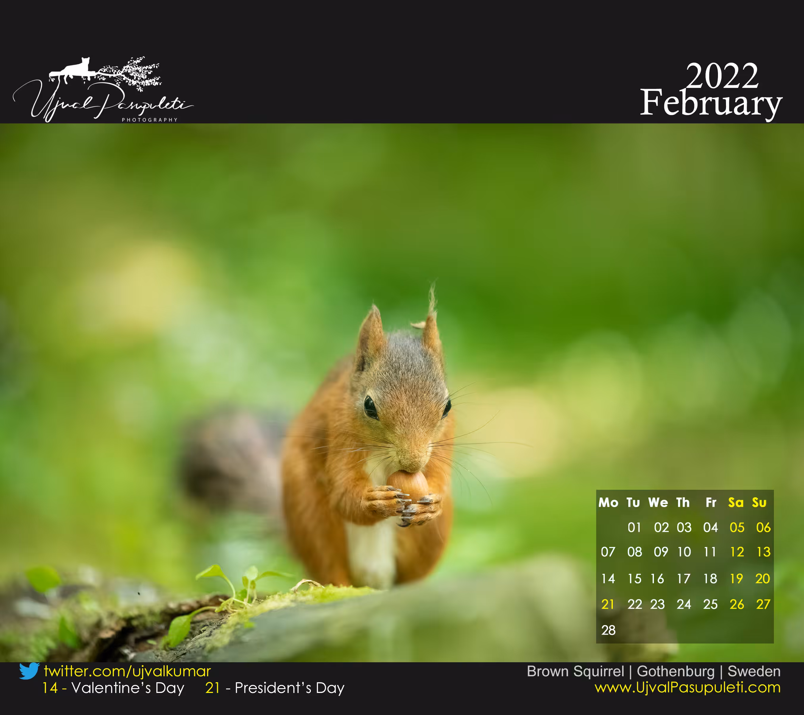 2022 NFT Calendar