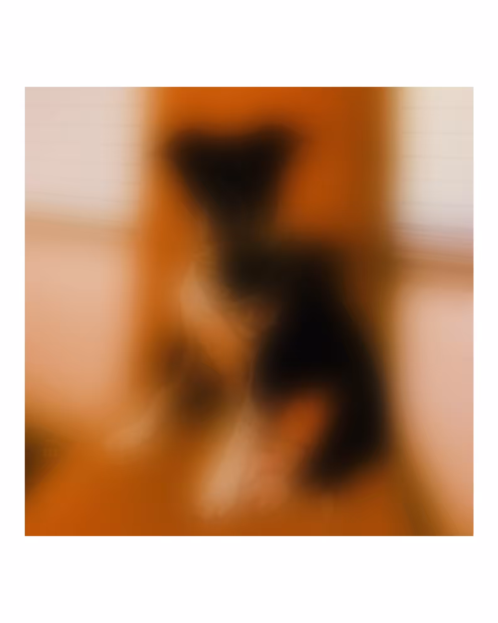 Focus #4