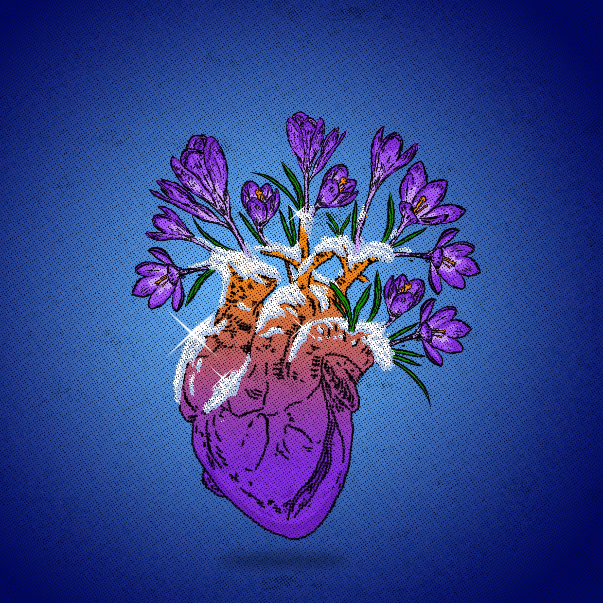 Hearts | 3