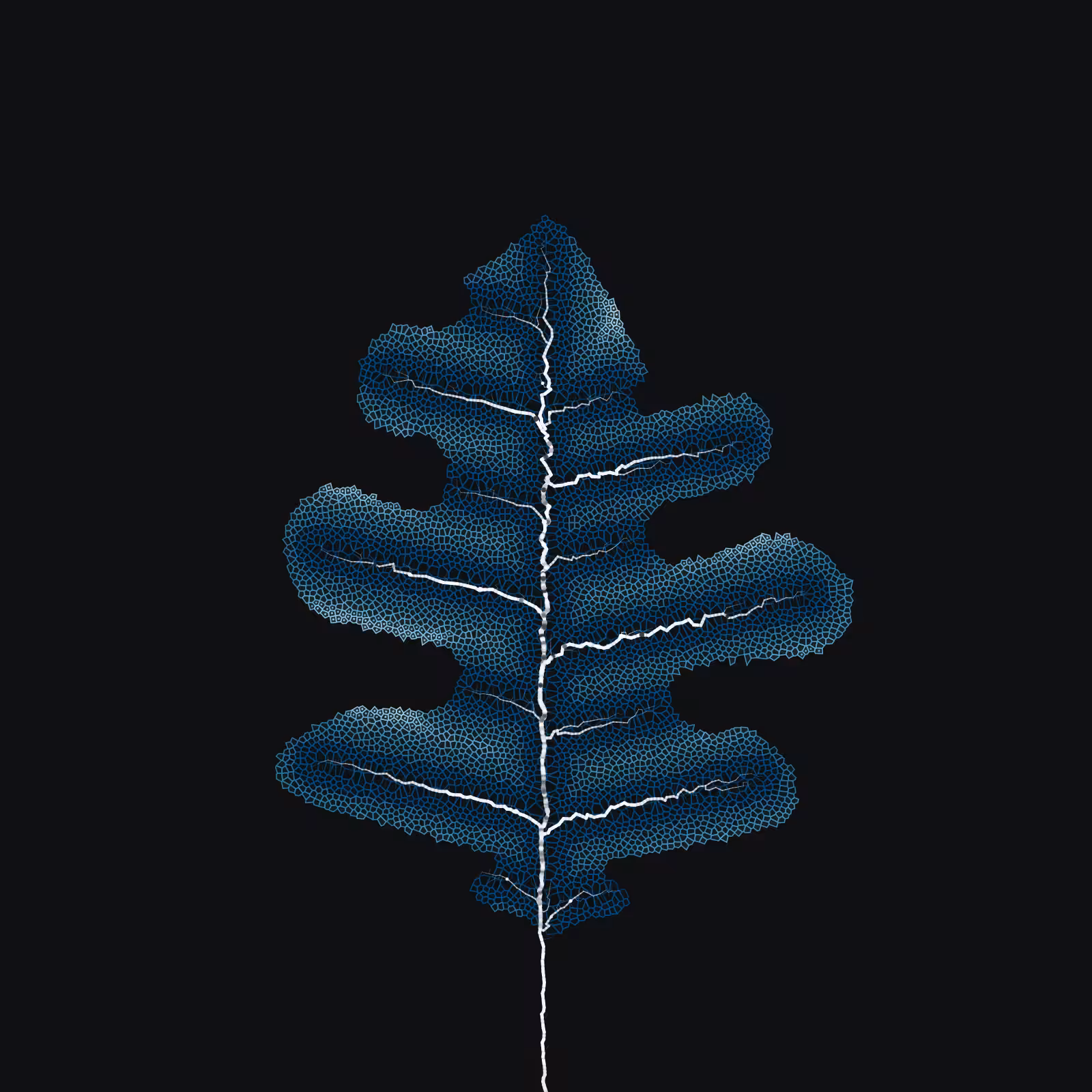 Leaf study #56