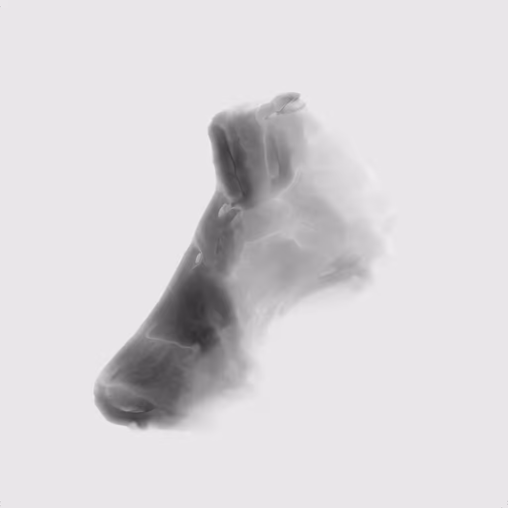 Particle Experiments #1