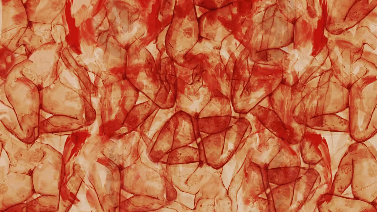 Entangled Bodies