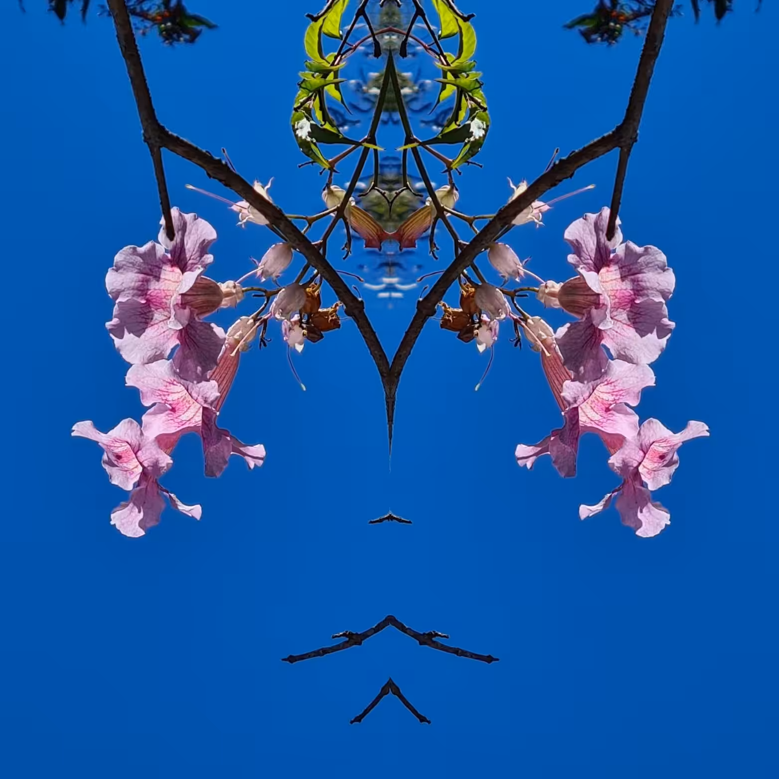<_Princess_>