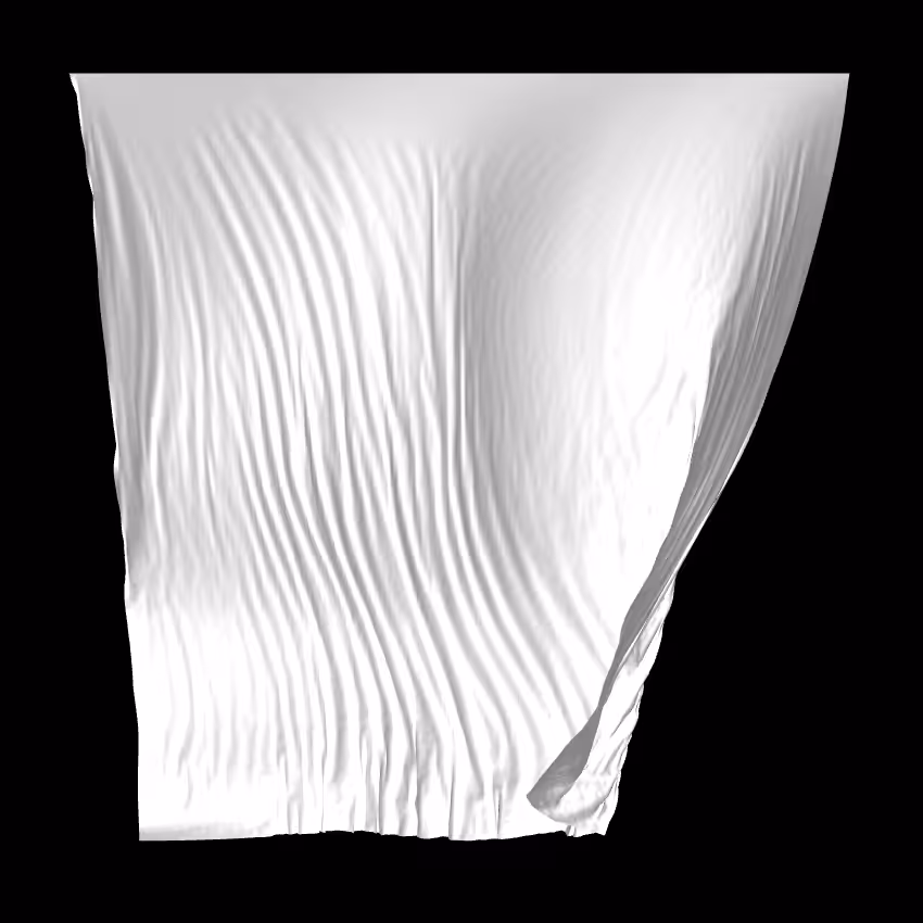 Fibril #58