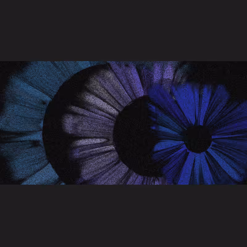 Chameleon #38