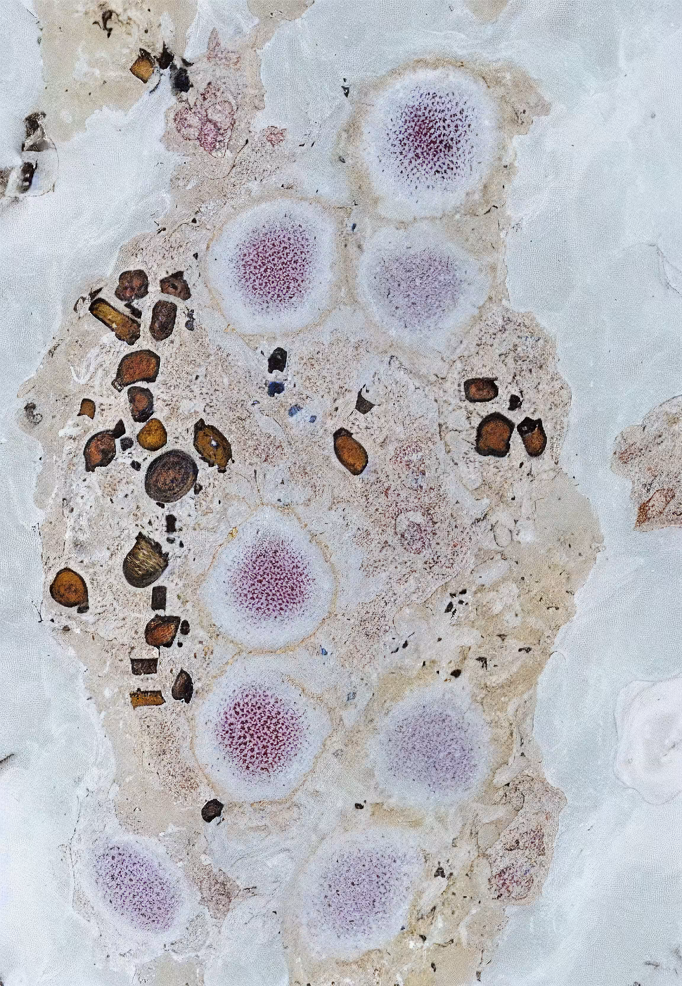 Histologia In Silico #77