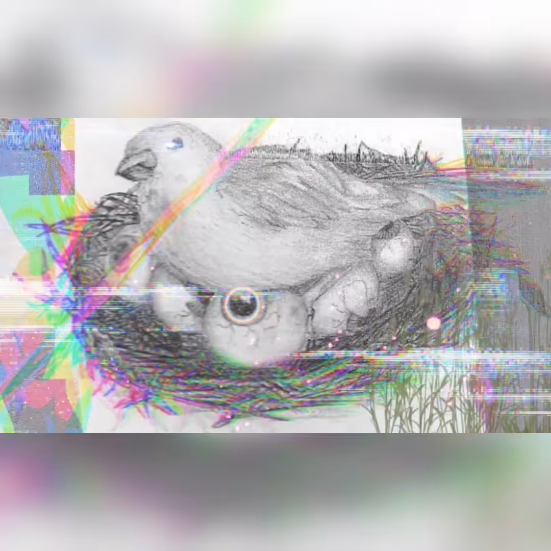 BiRDz aRe FaKe!!!11