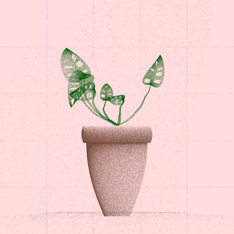 🌱 Potted & Printed #43