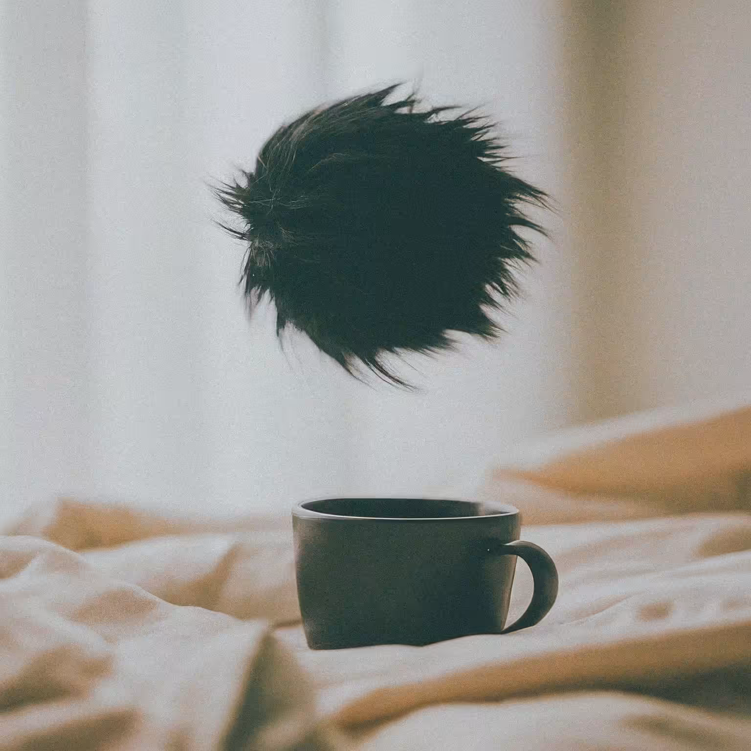 Coffee I
