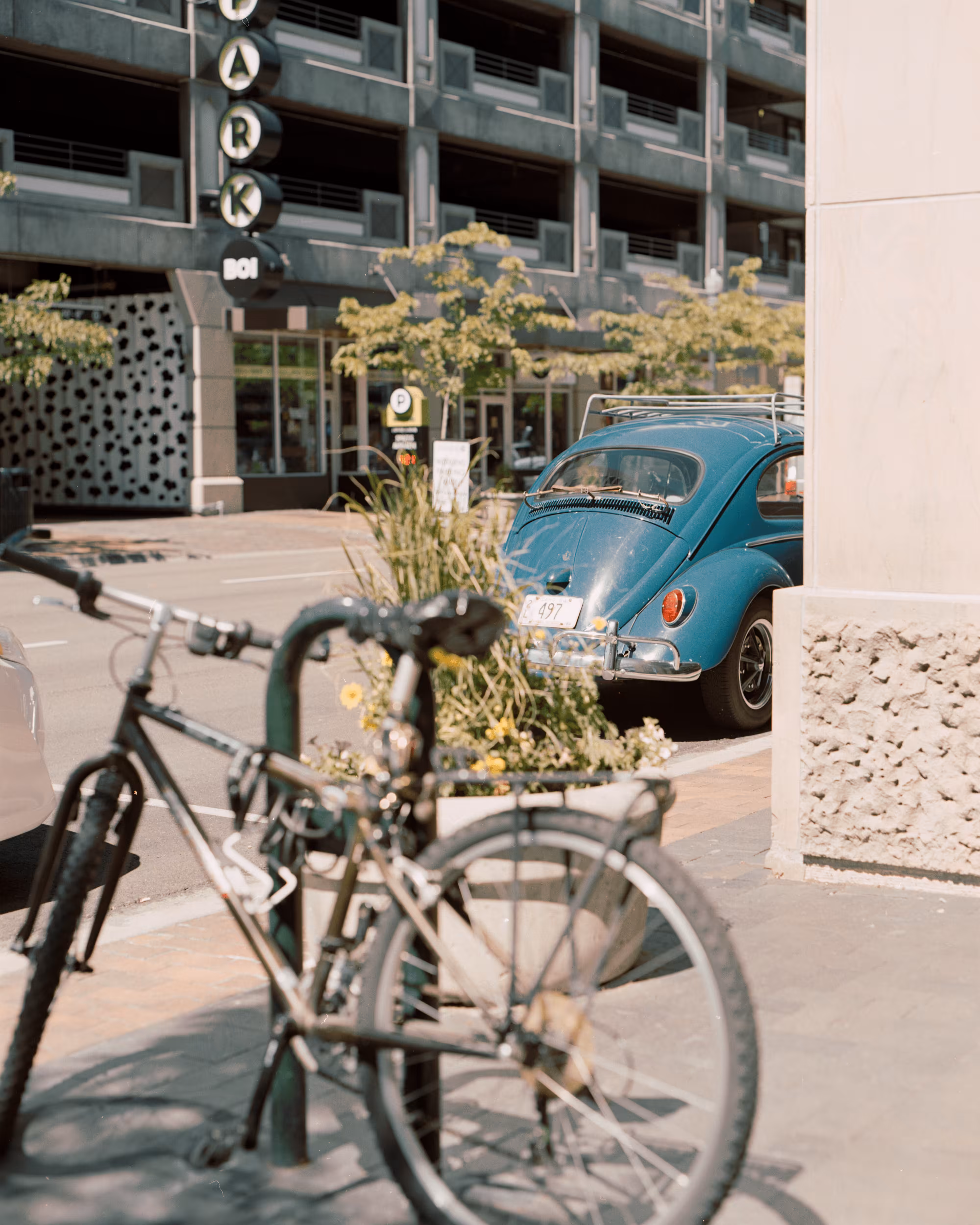 Hidden In Plain Sight #016. Buggin' Out