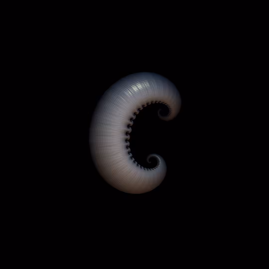 DECAPOD