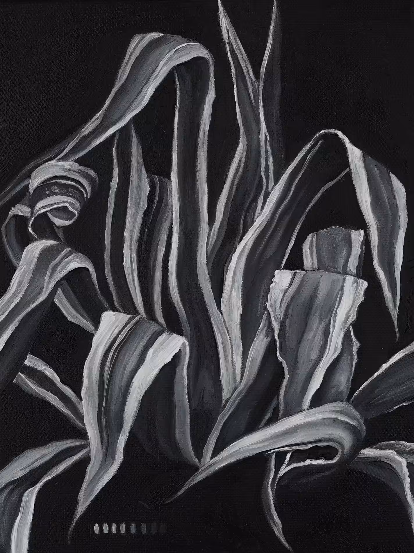 Agave