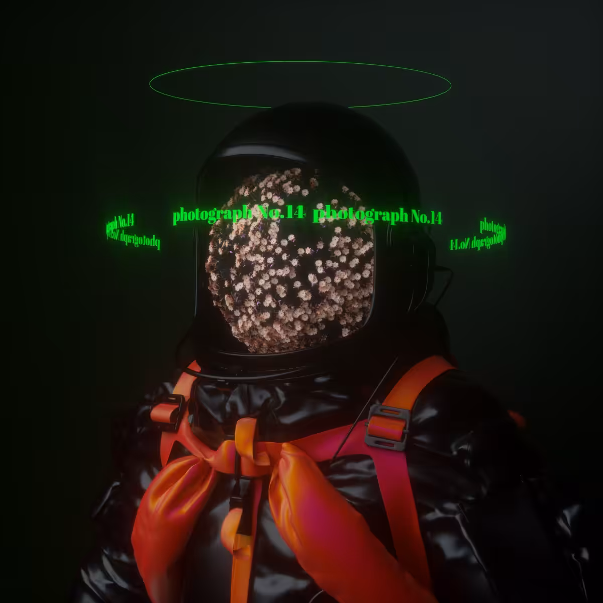 Portrait photograph from space man No.14
