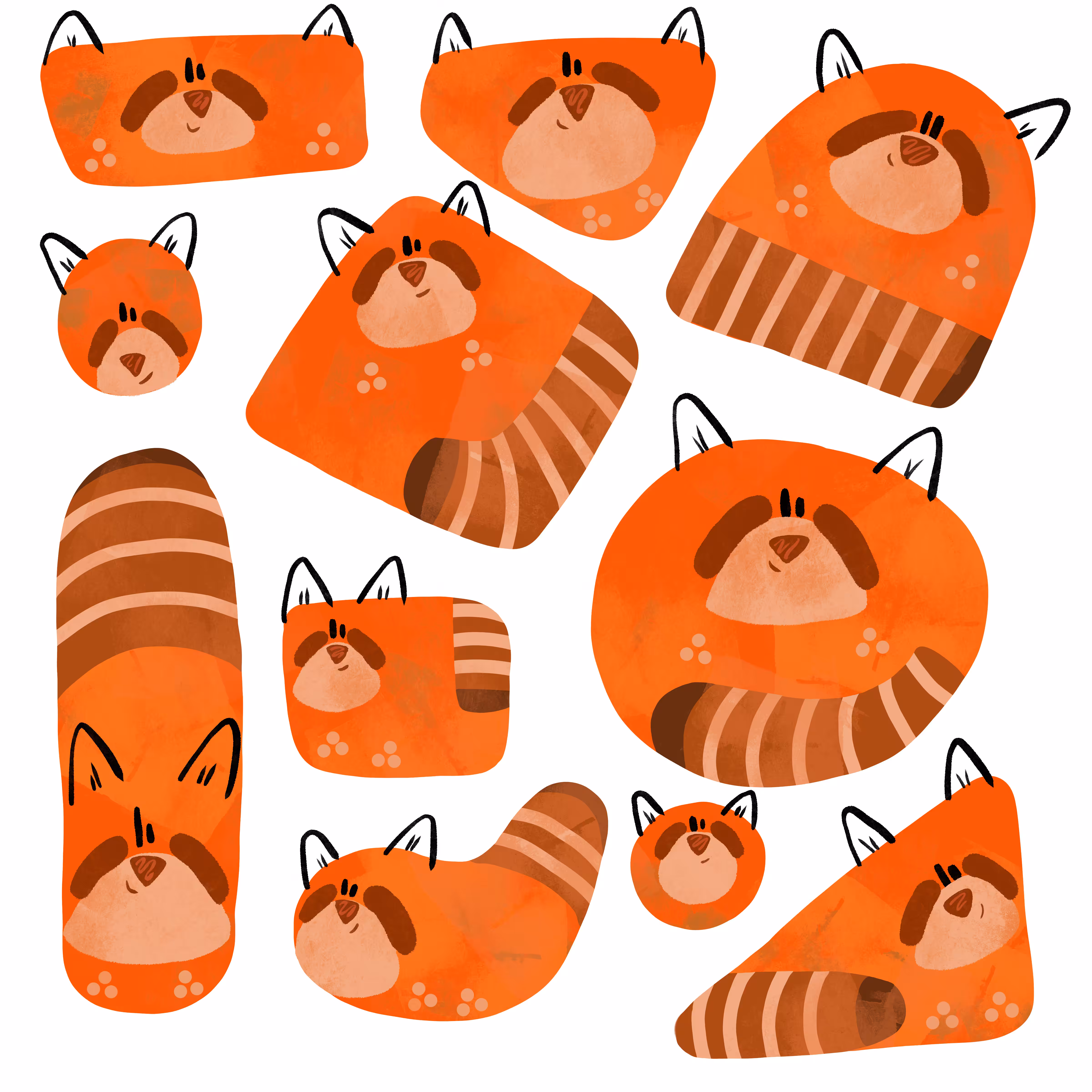 Just some Red pandas!!