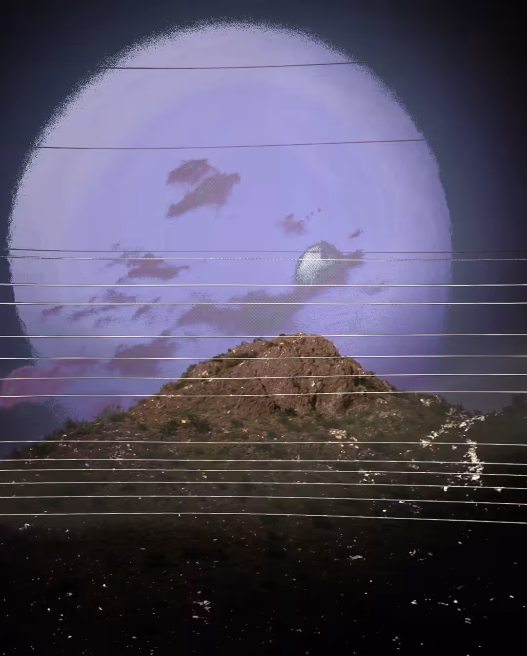 moonlight