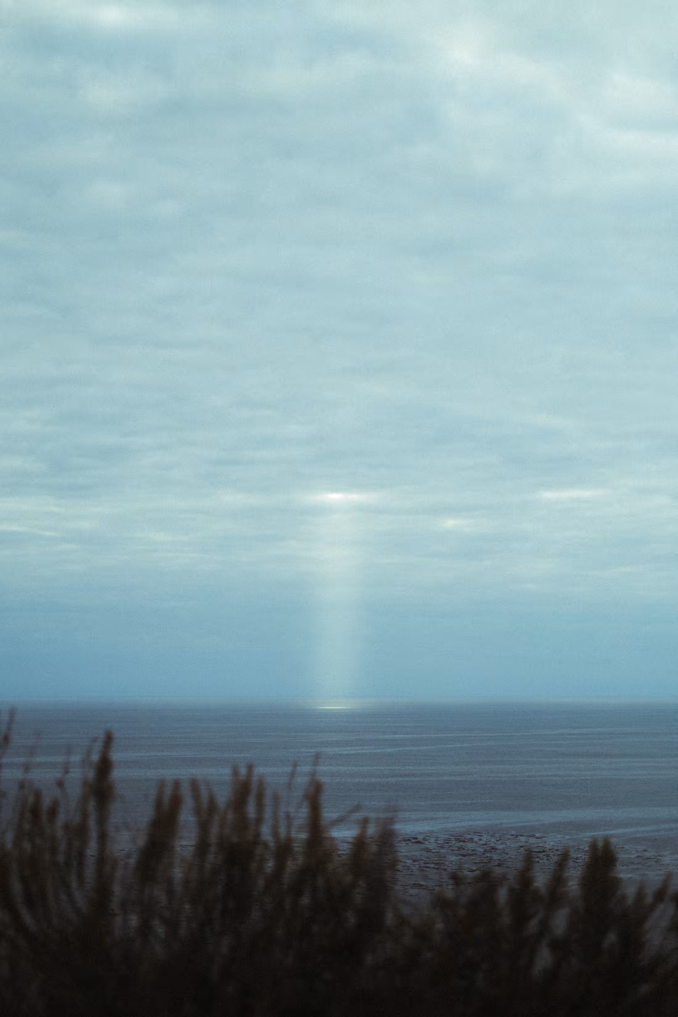 Landscapes of my mind