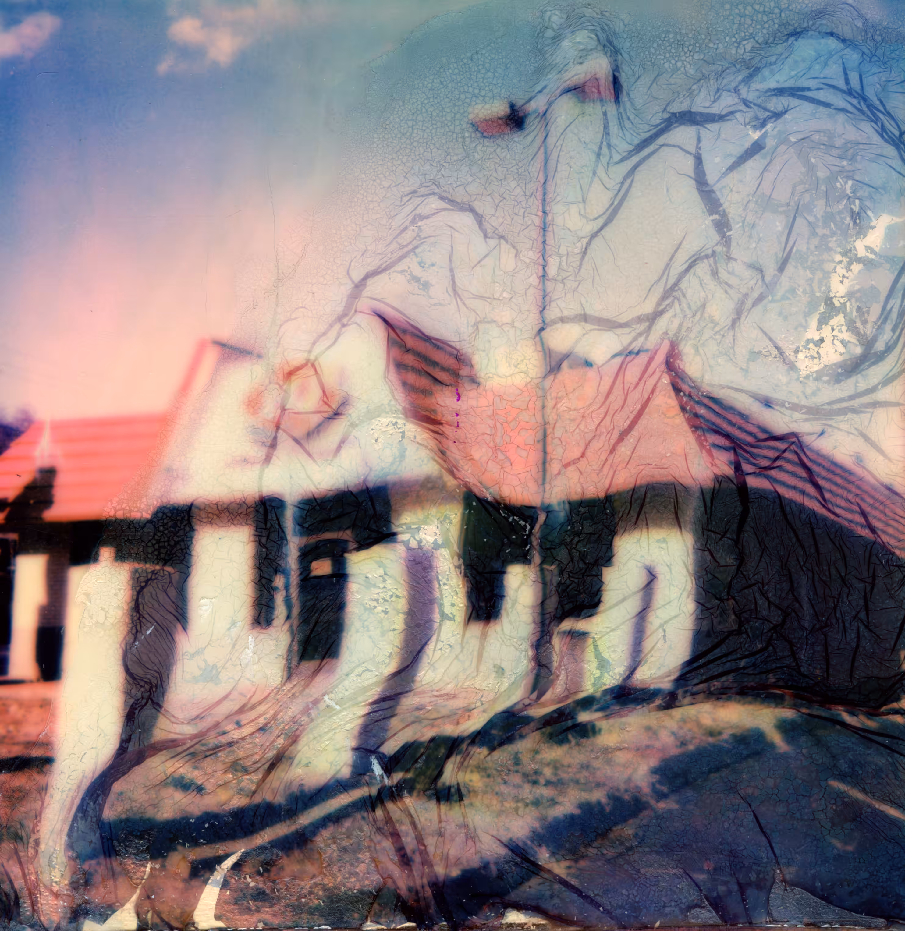 Long Gone