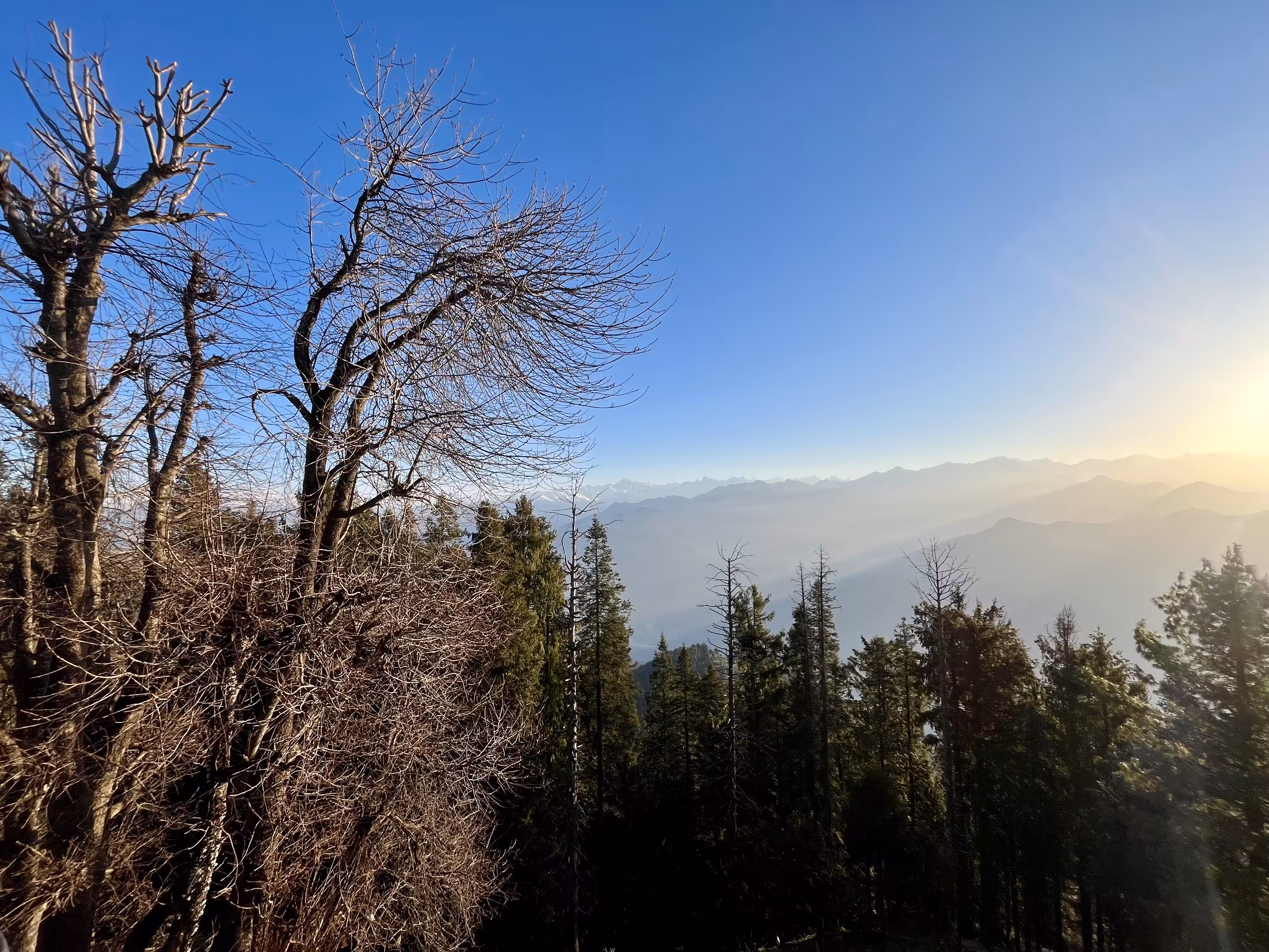 The Last Ridge