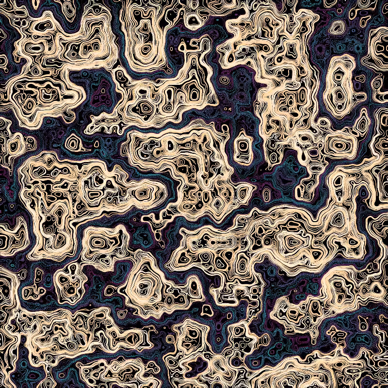 The vortex