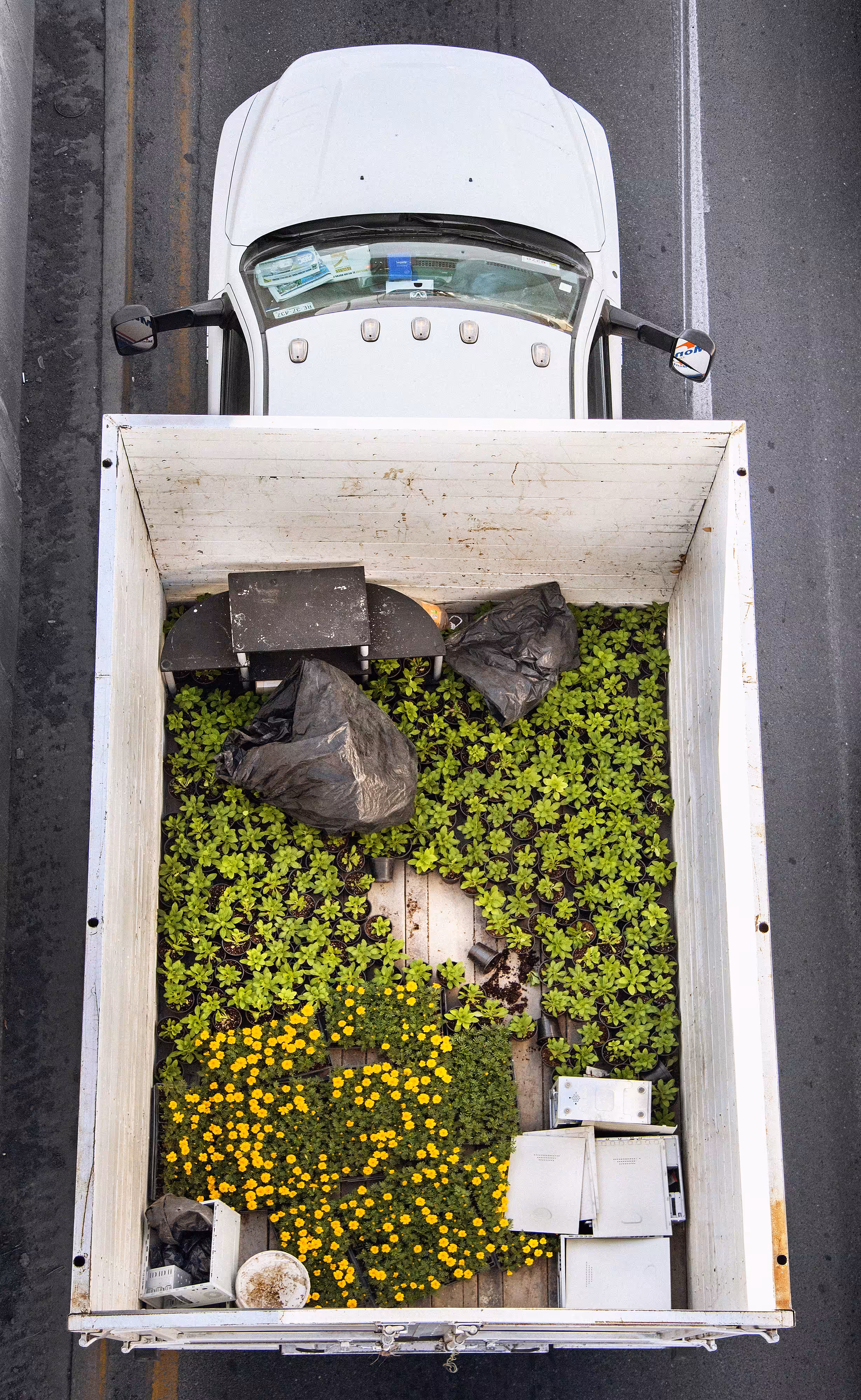Urban Transportation Plants