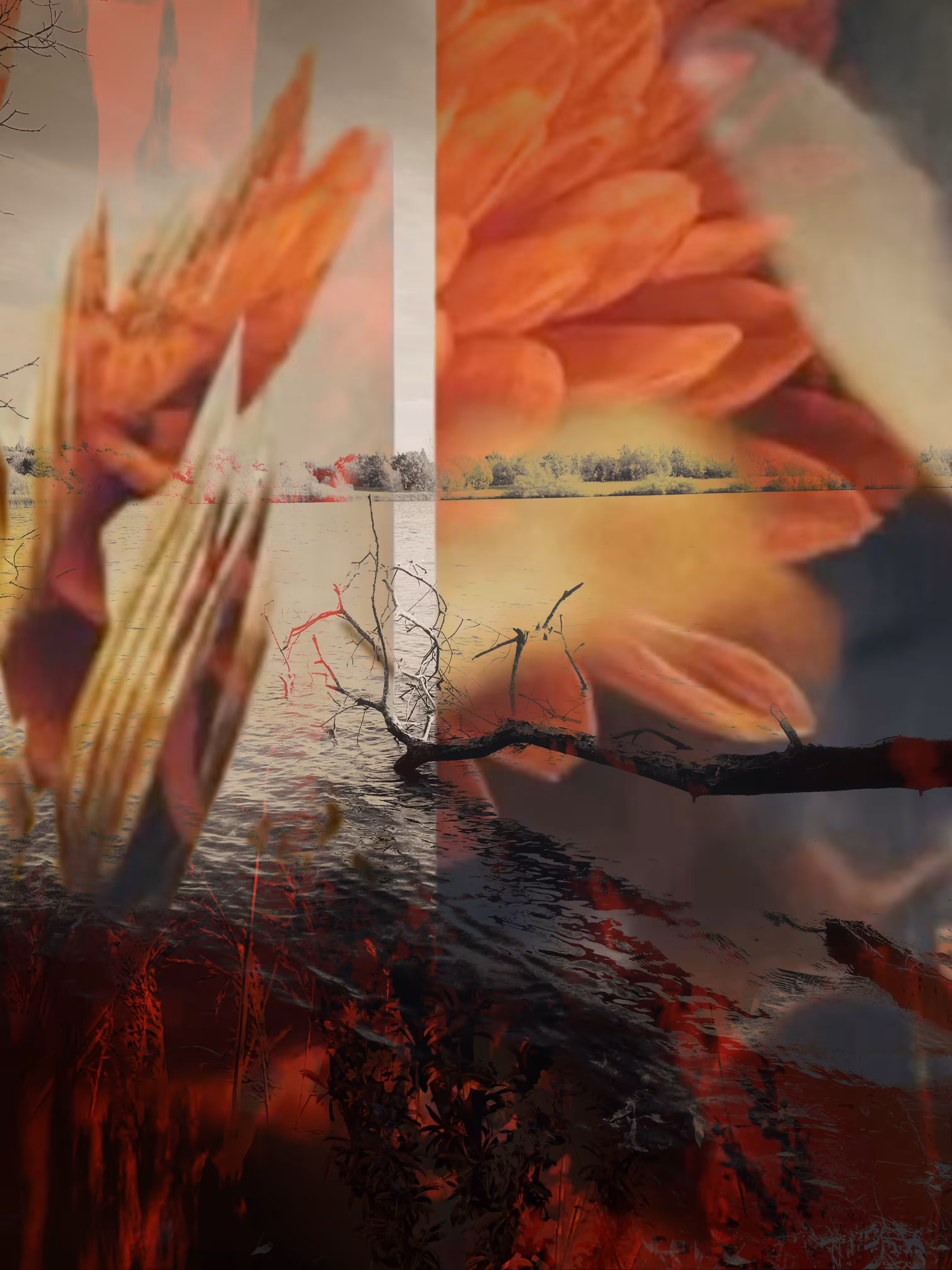 Burning Convergence 