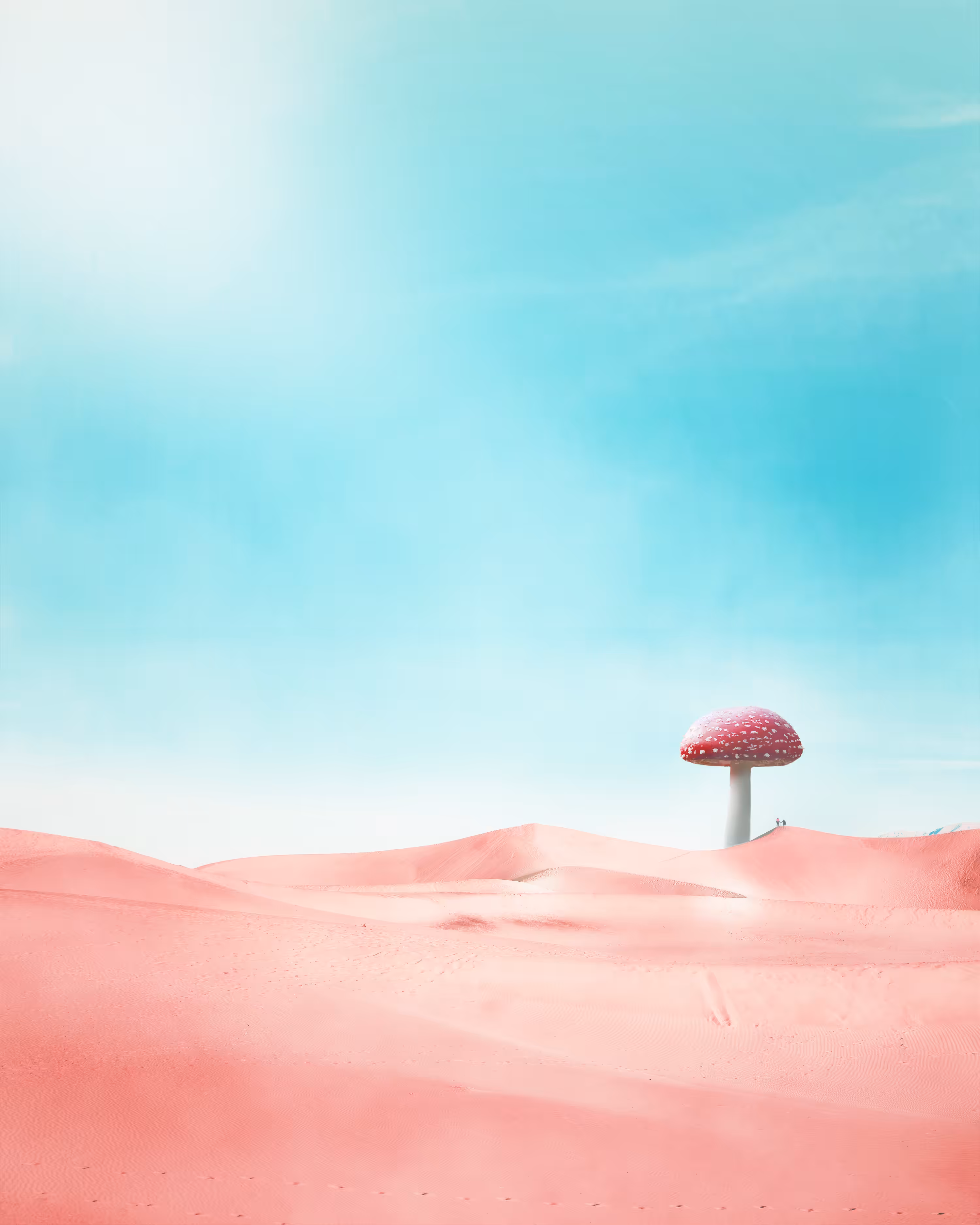 shelter