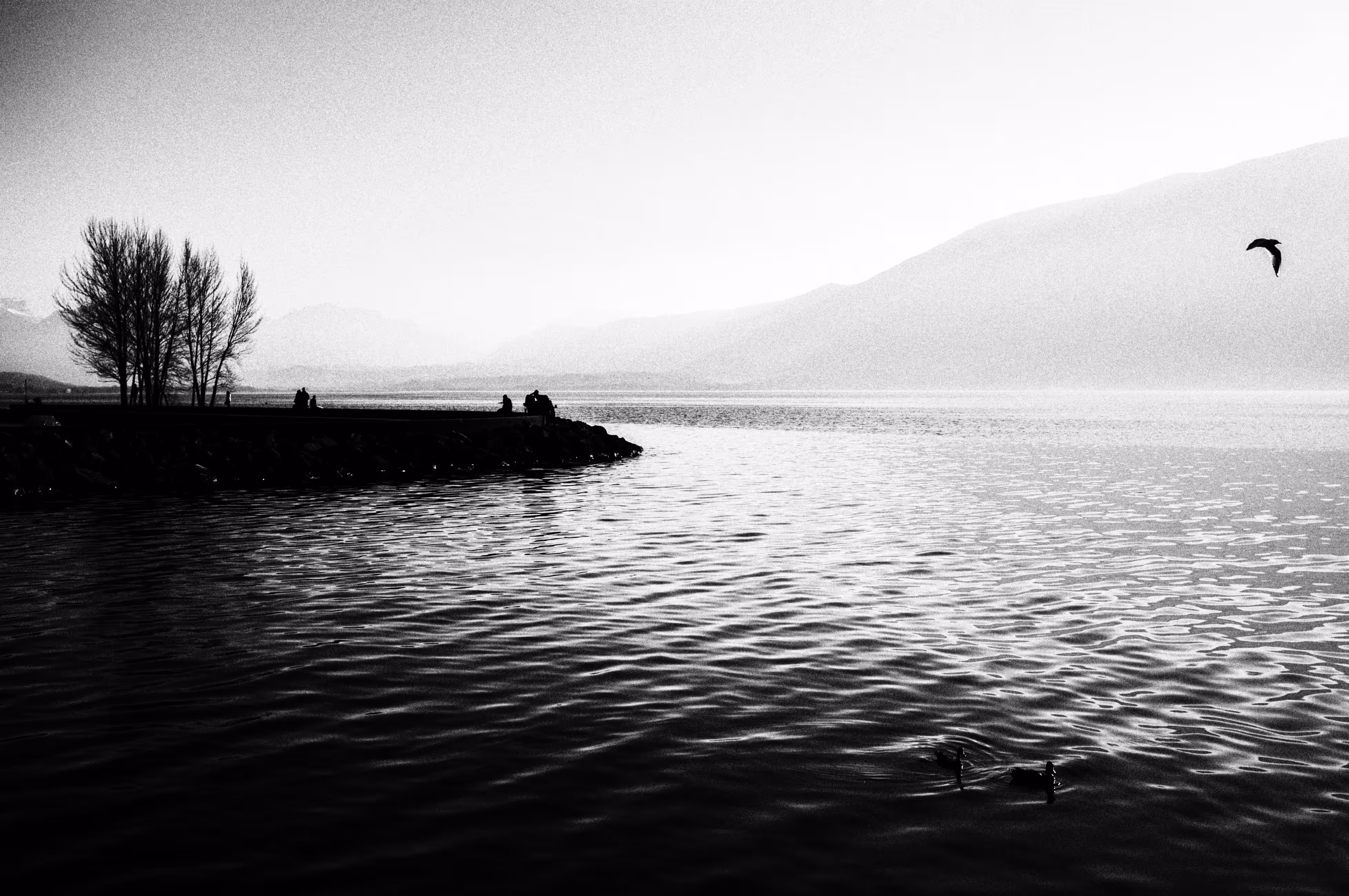 The Lake