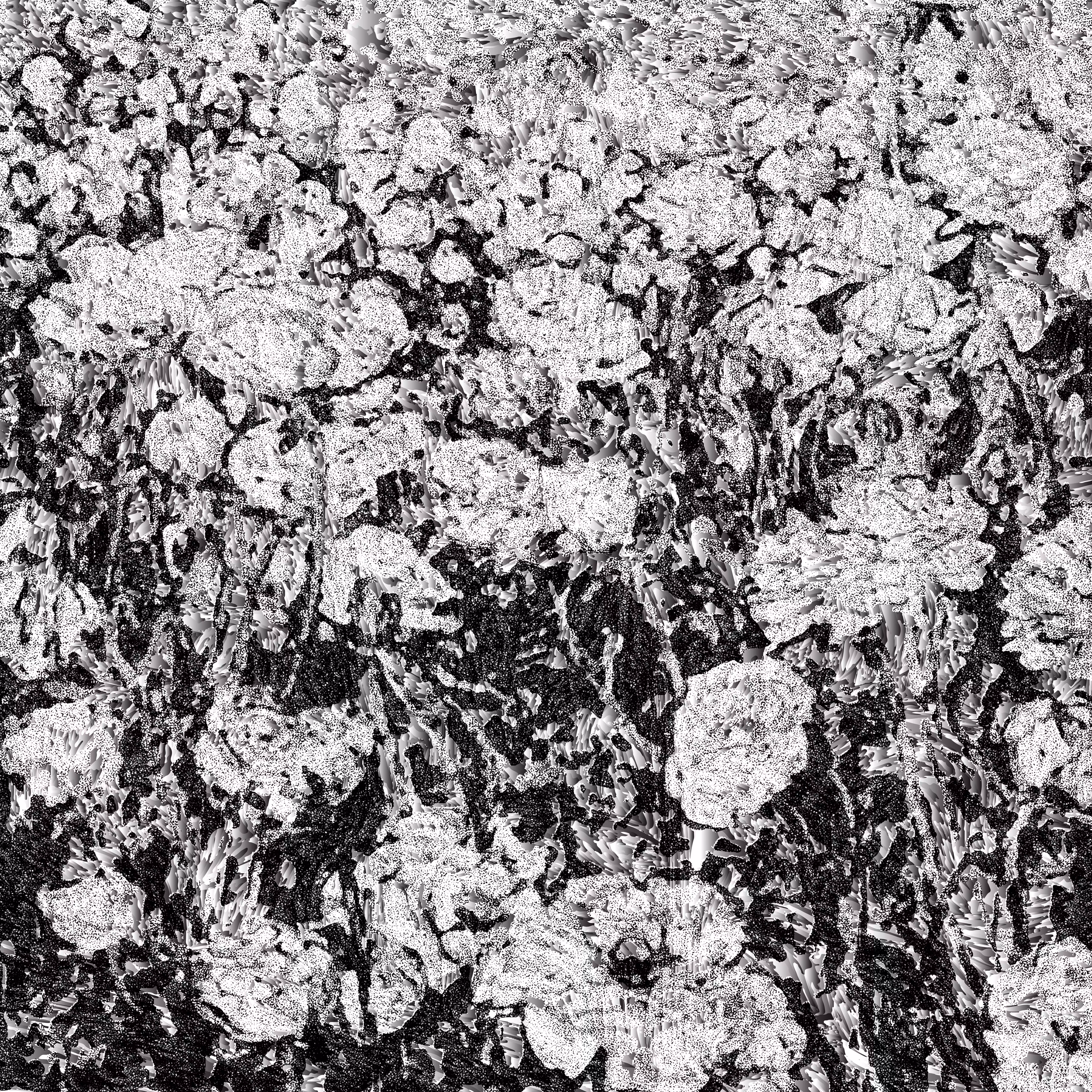 shadow #17