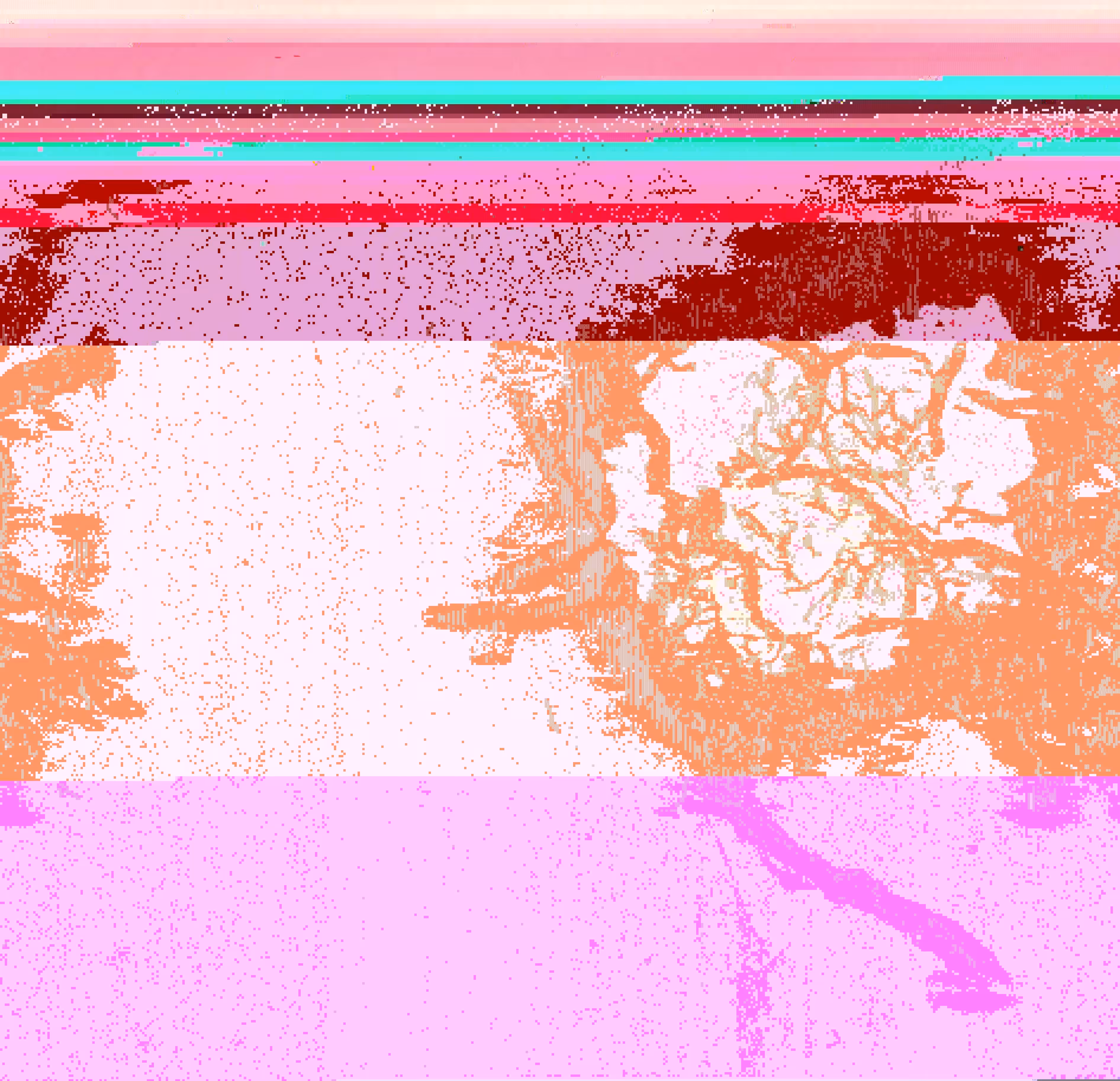 Blorgg Honklorph Malfonxia m[4]