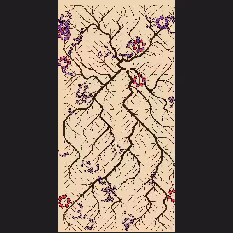 The Root #13